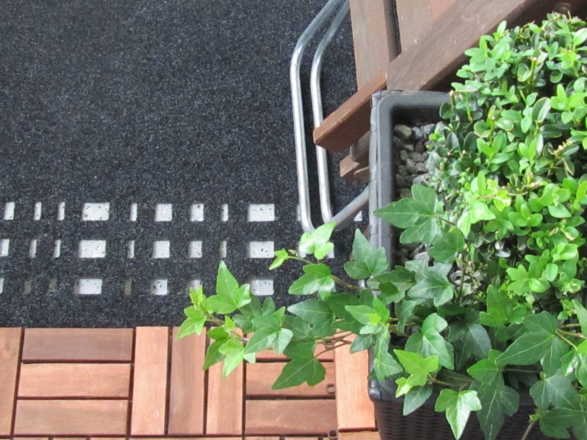 IMG_3688 - Edited (2)