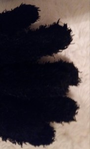 20151101_162124 - Edited