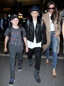 beckham-brood