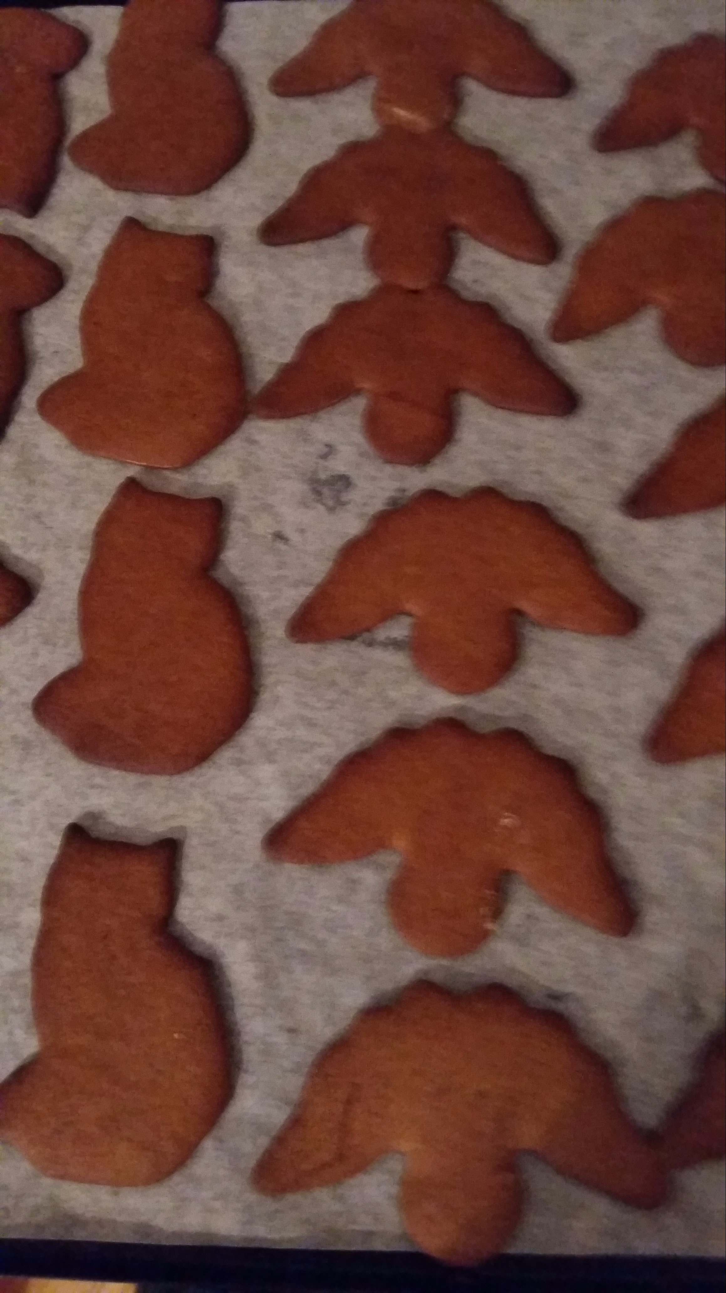 20151206_144853 - Edited