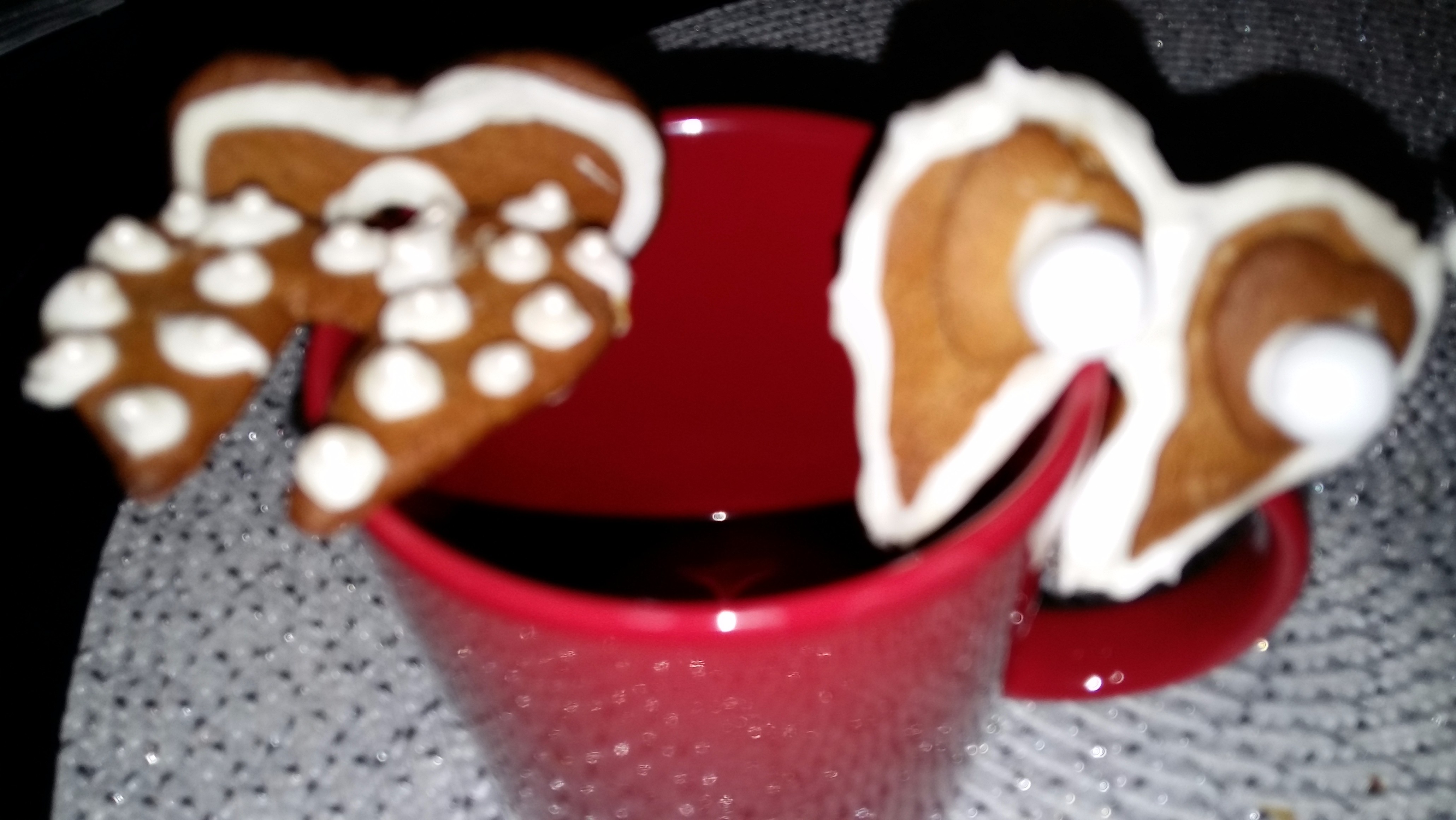 20151217_210854 - Edited