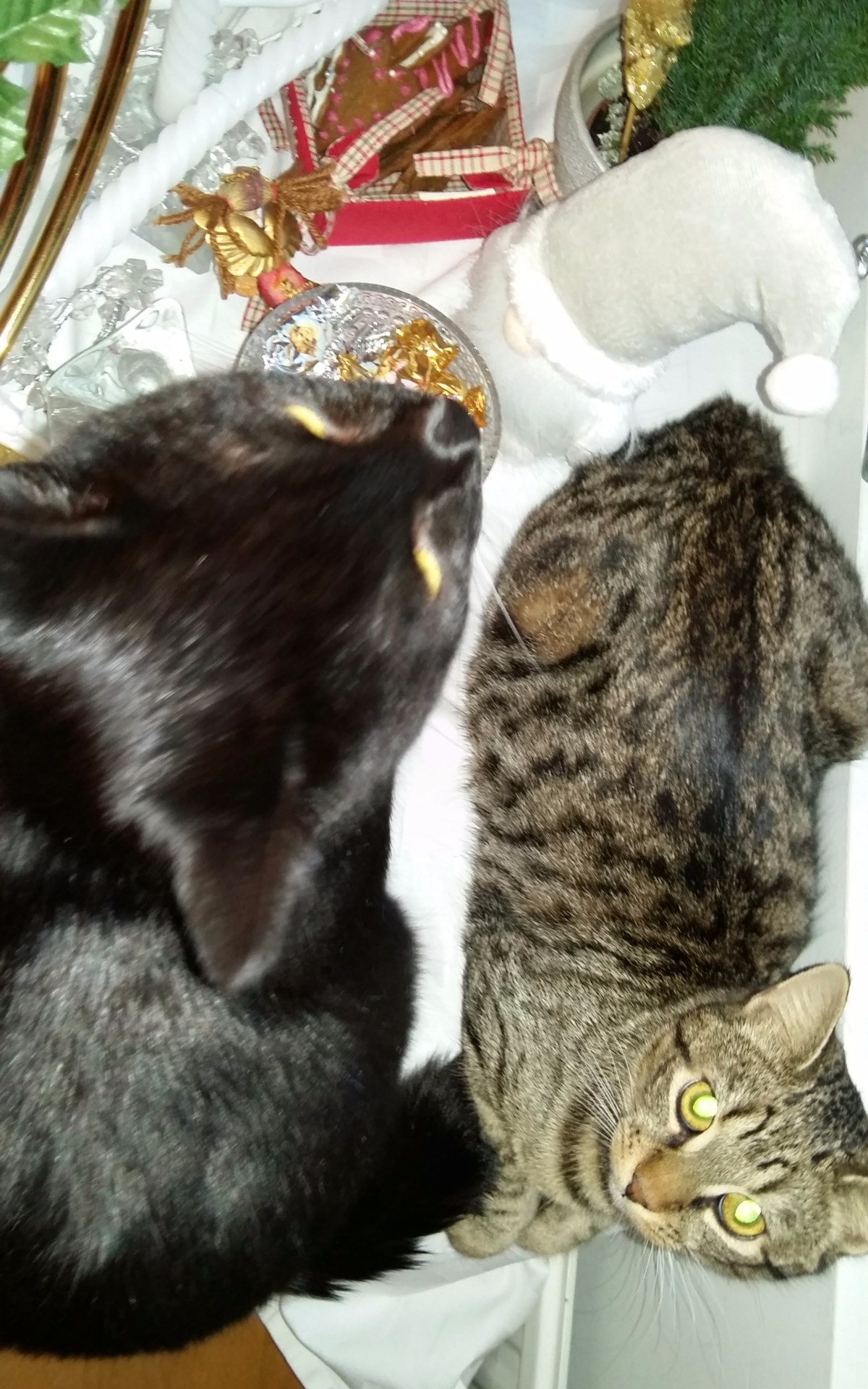 20151220_132617 - Edited