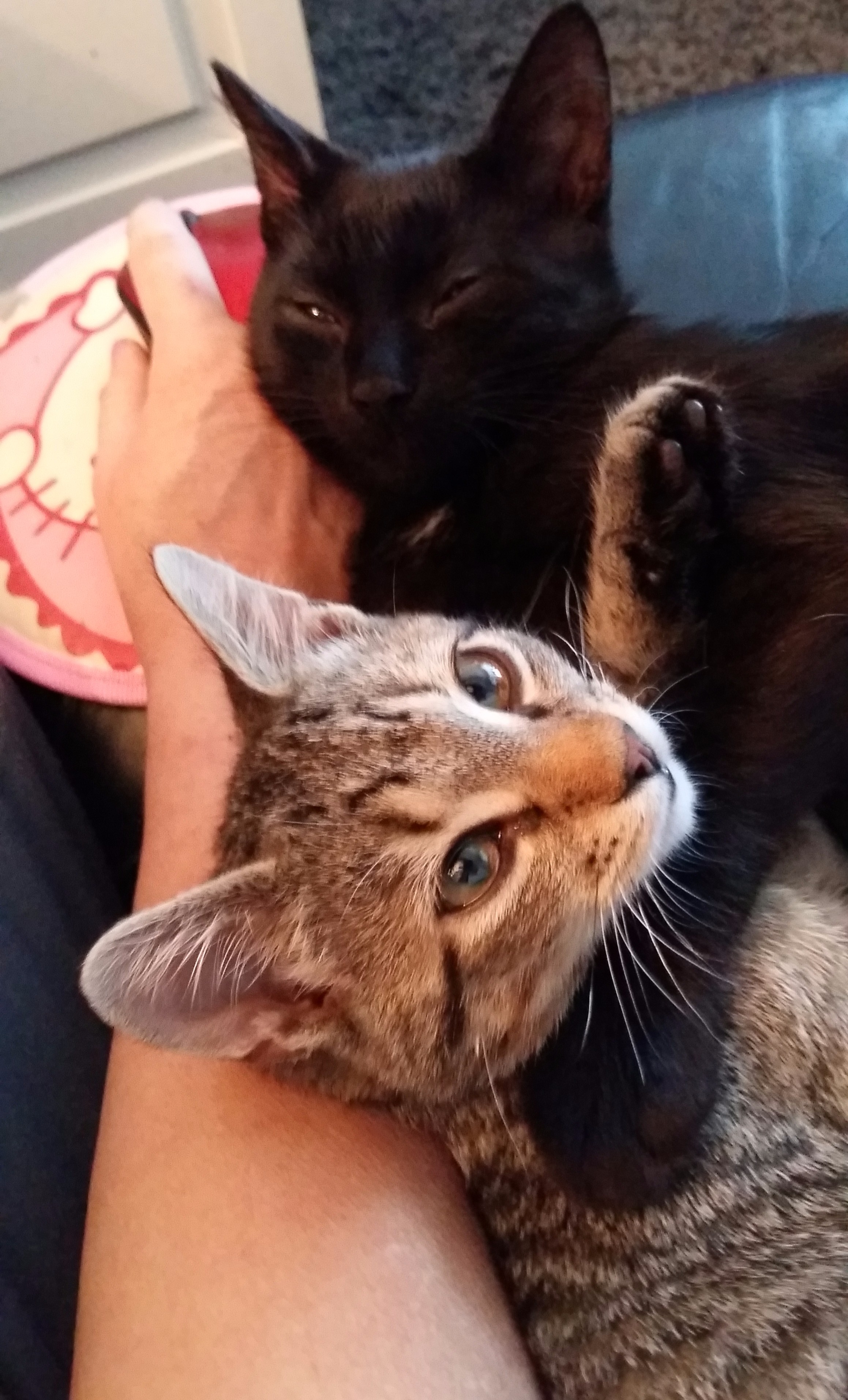 20150920_111632 - Edited