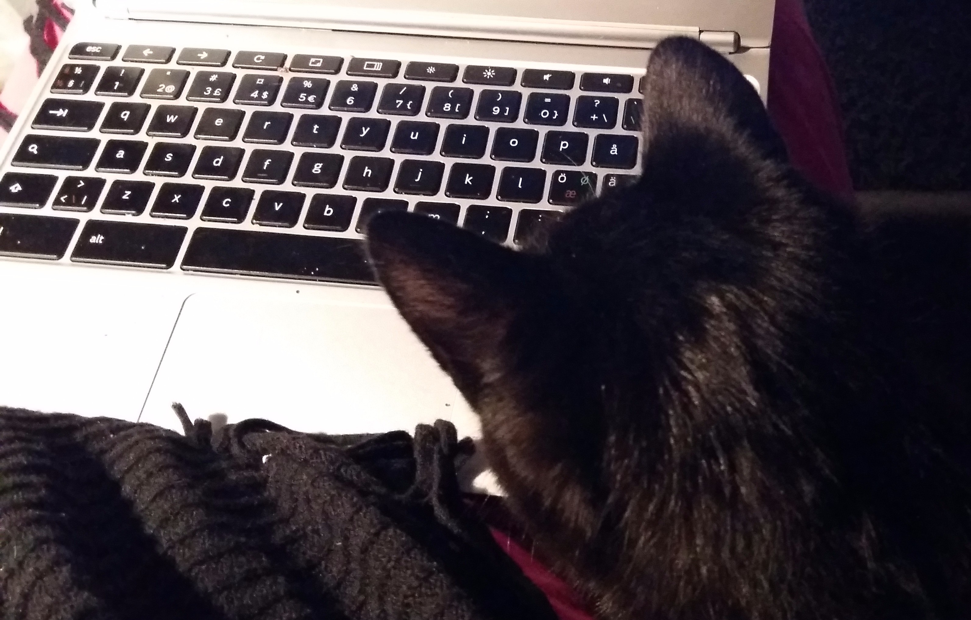 20151109_080312 - Edited