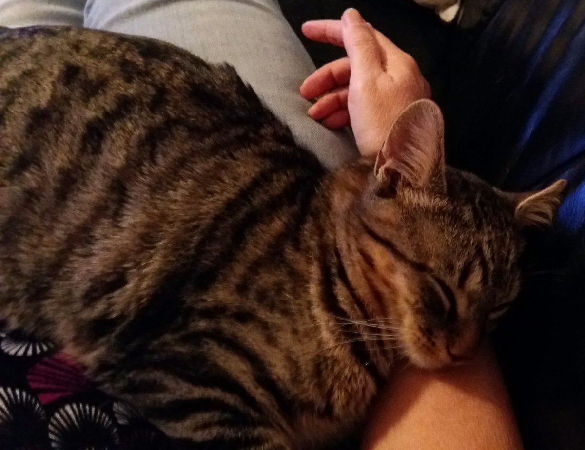 20151109_181900 - Edited