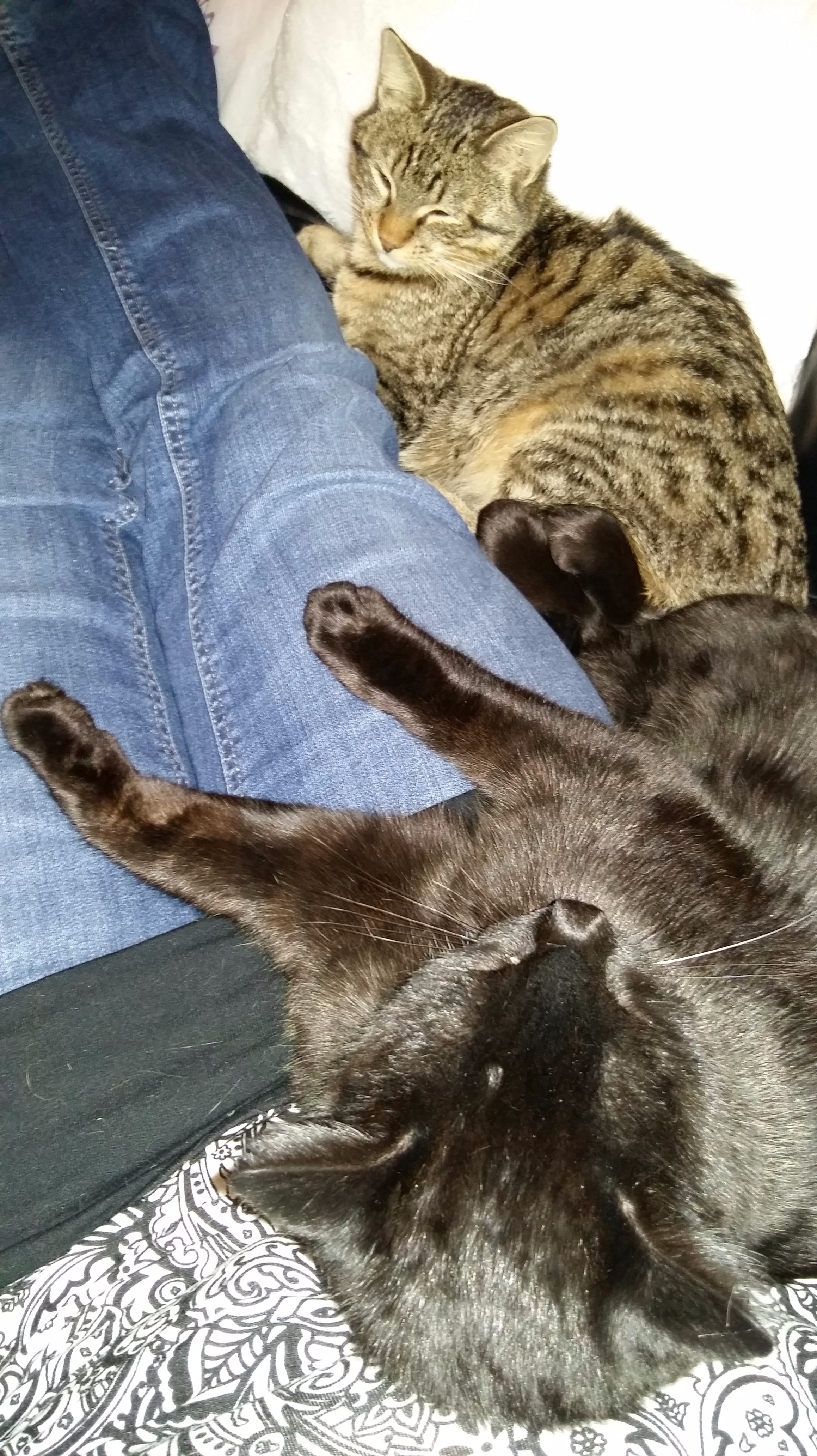 20151219_204359 - Edited