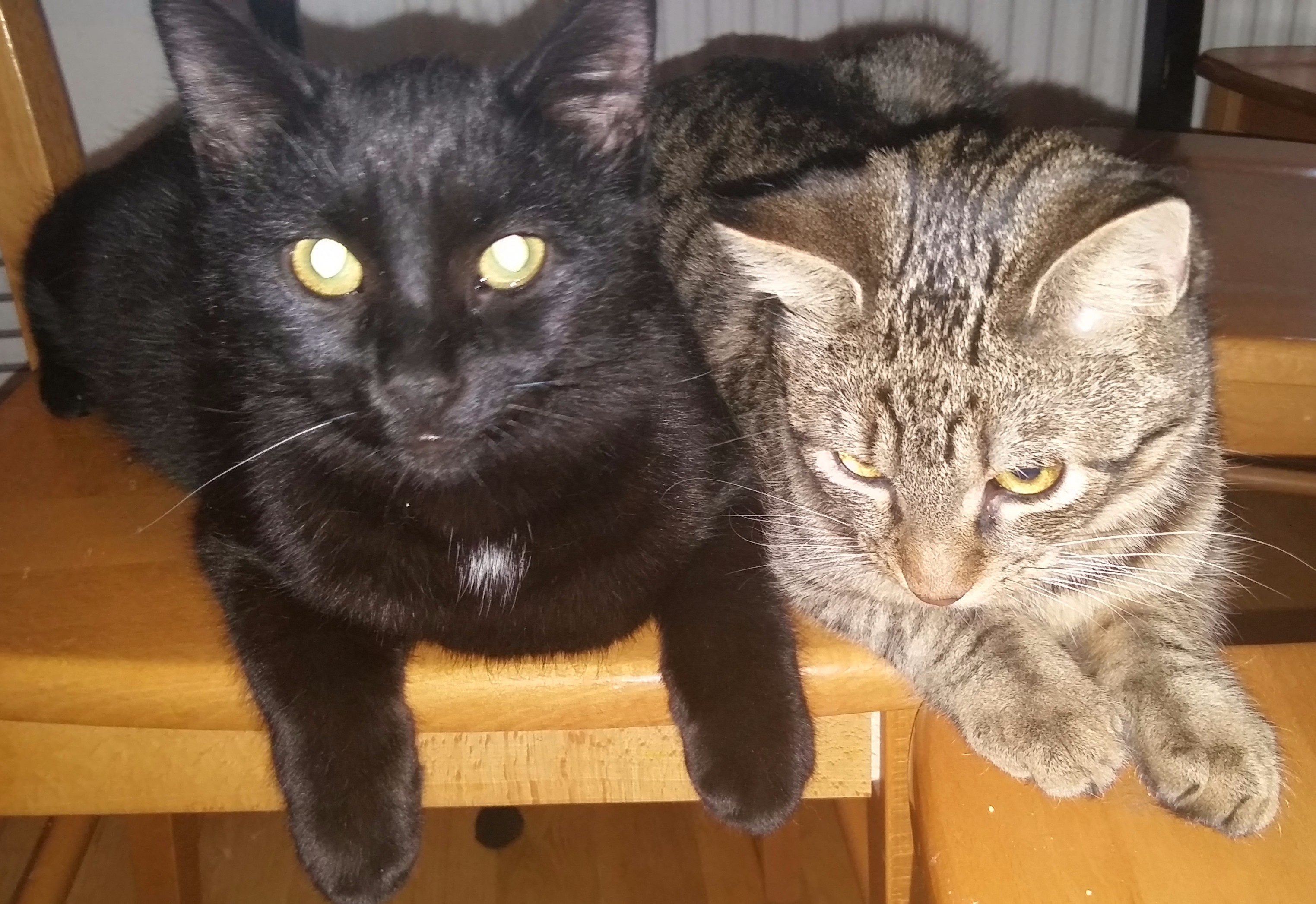 20151222_130534 - Edited (1)