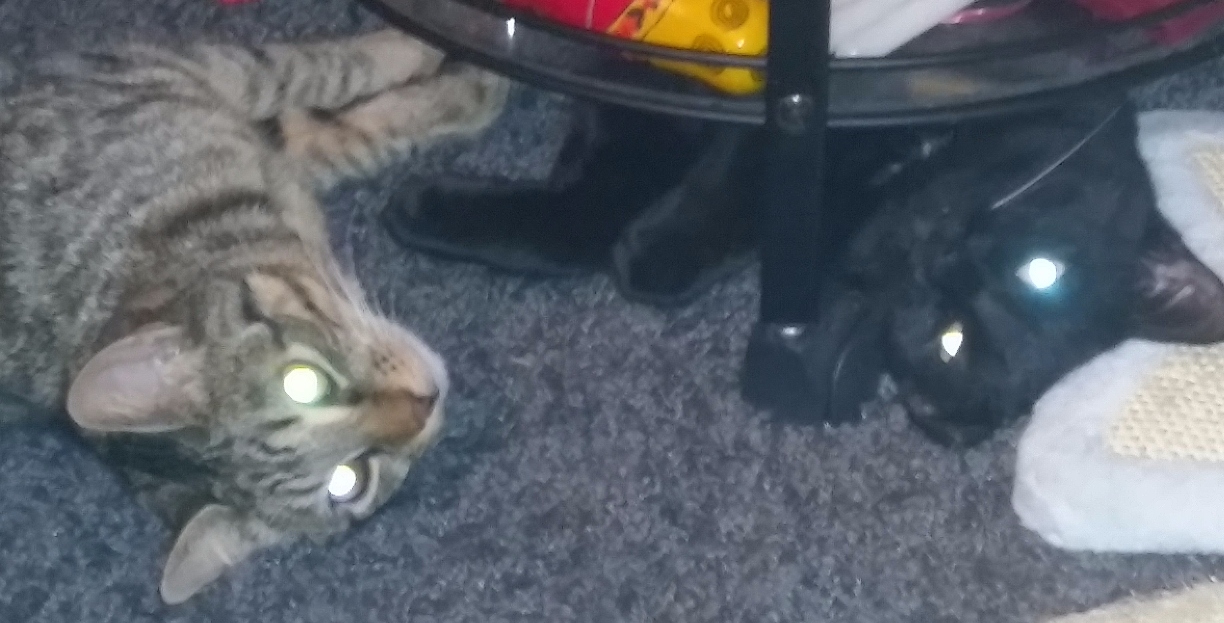 20151225_132335 - Edited