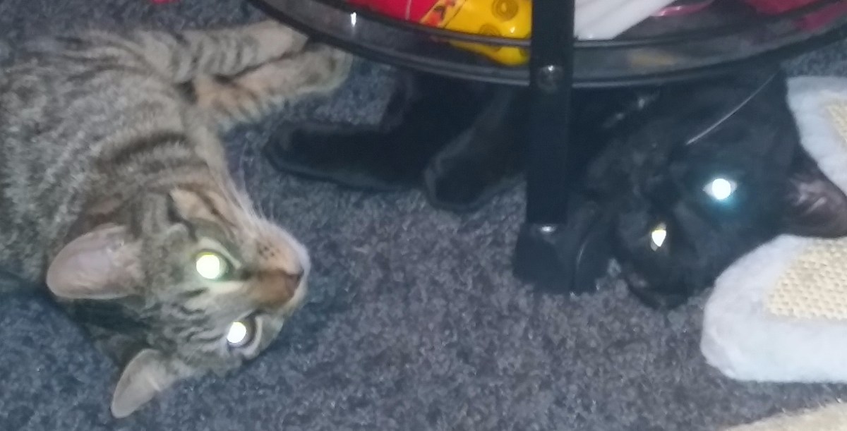 20151225_132335 - Edited