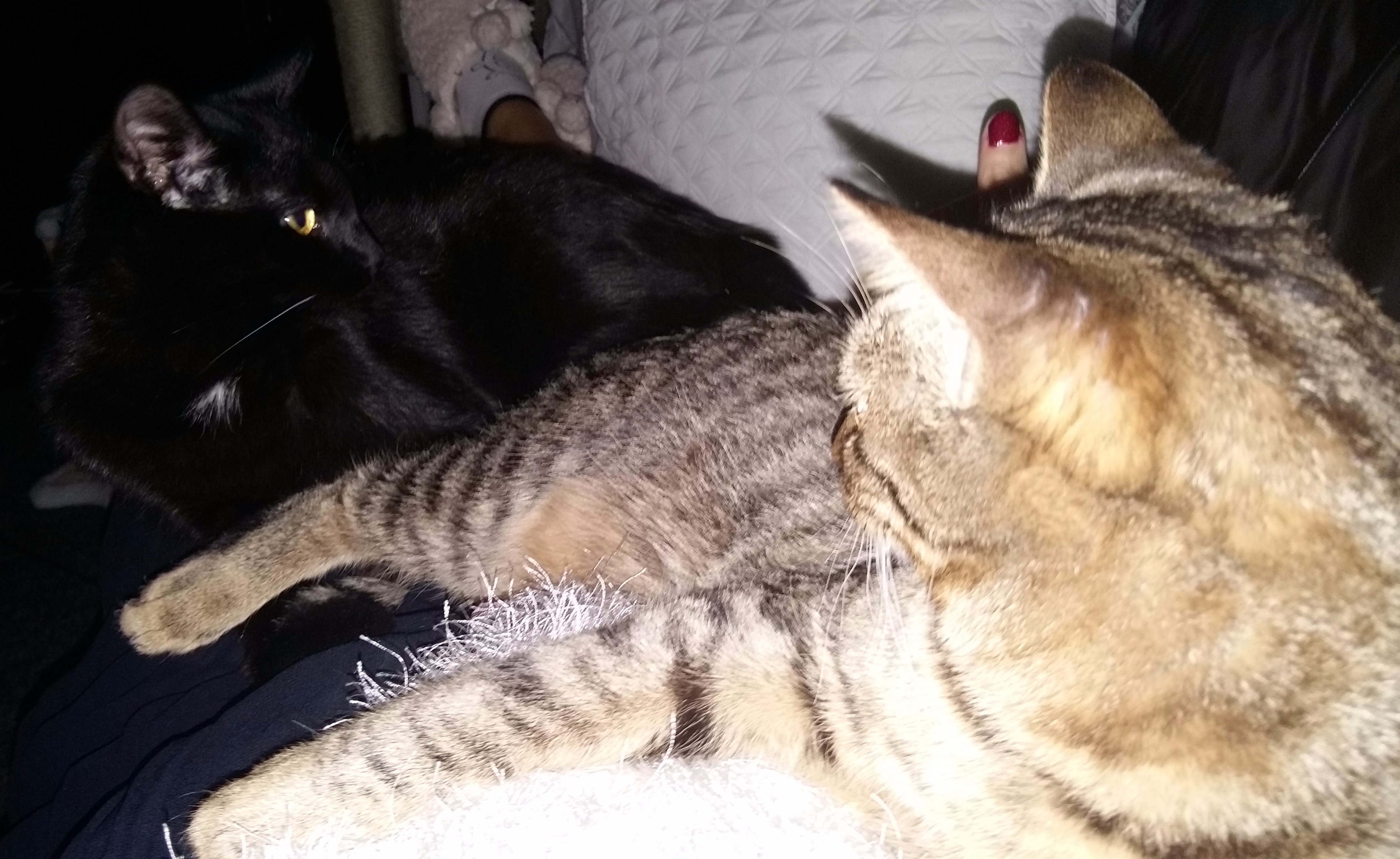 20160101_172659 - Edited