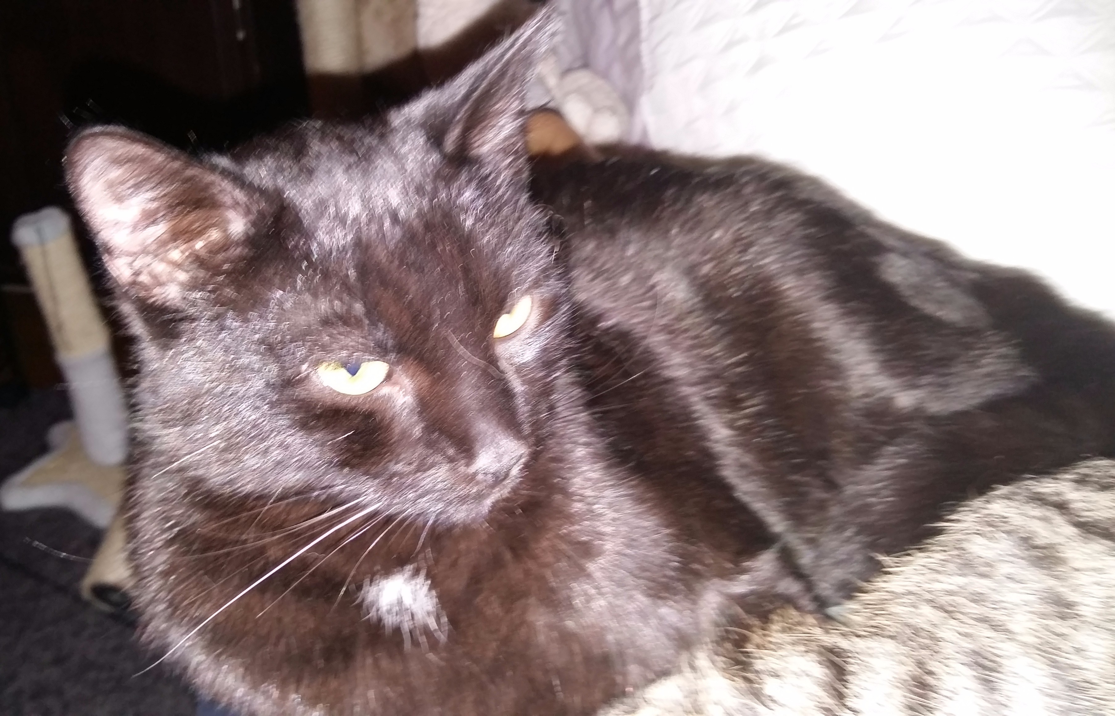 20160101_172739 - Edited