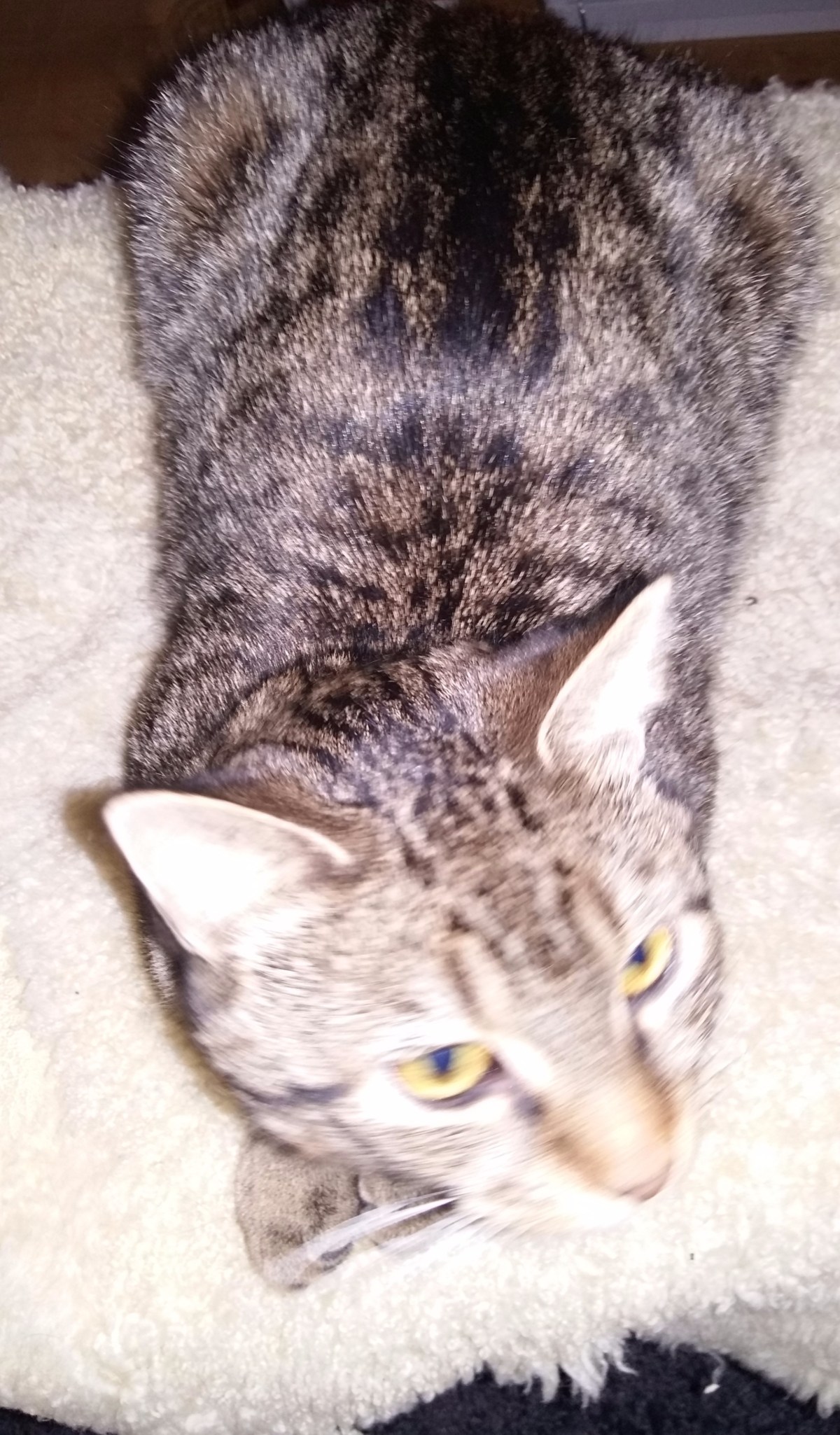 20160101_211848 - Edited