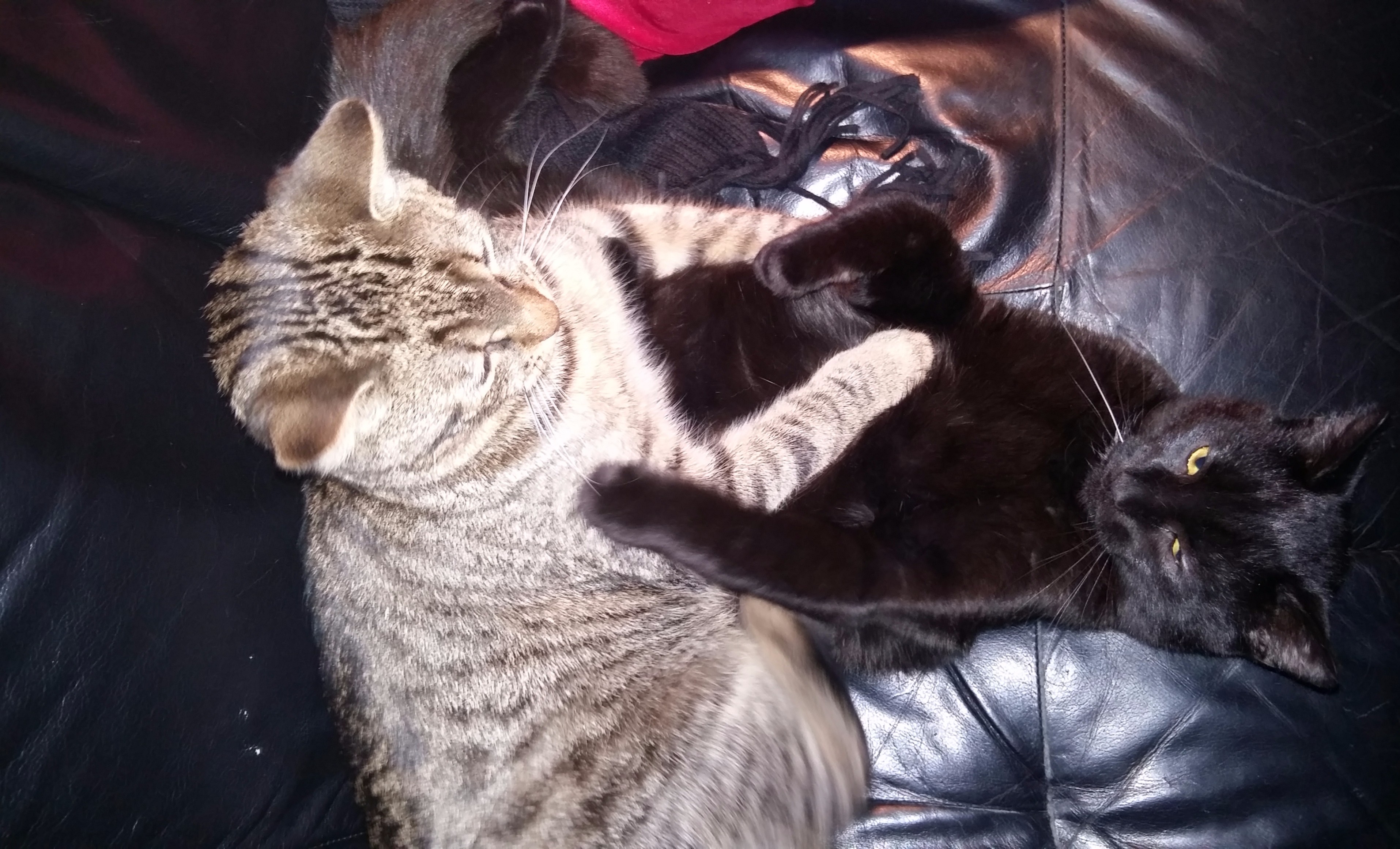 20160101_212154 - Edited