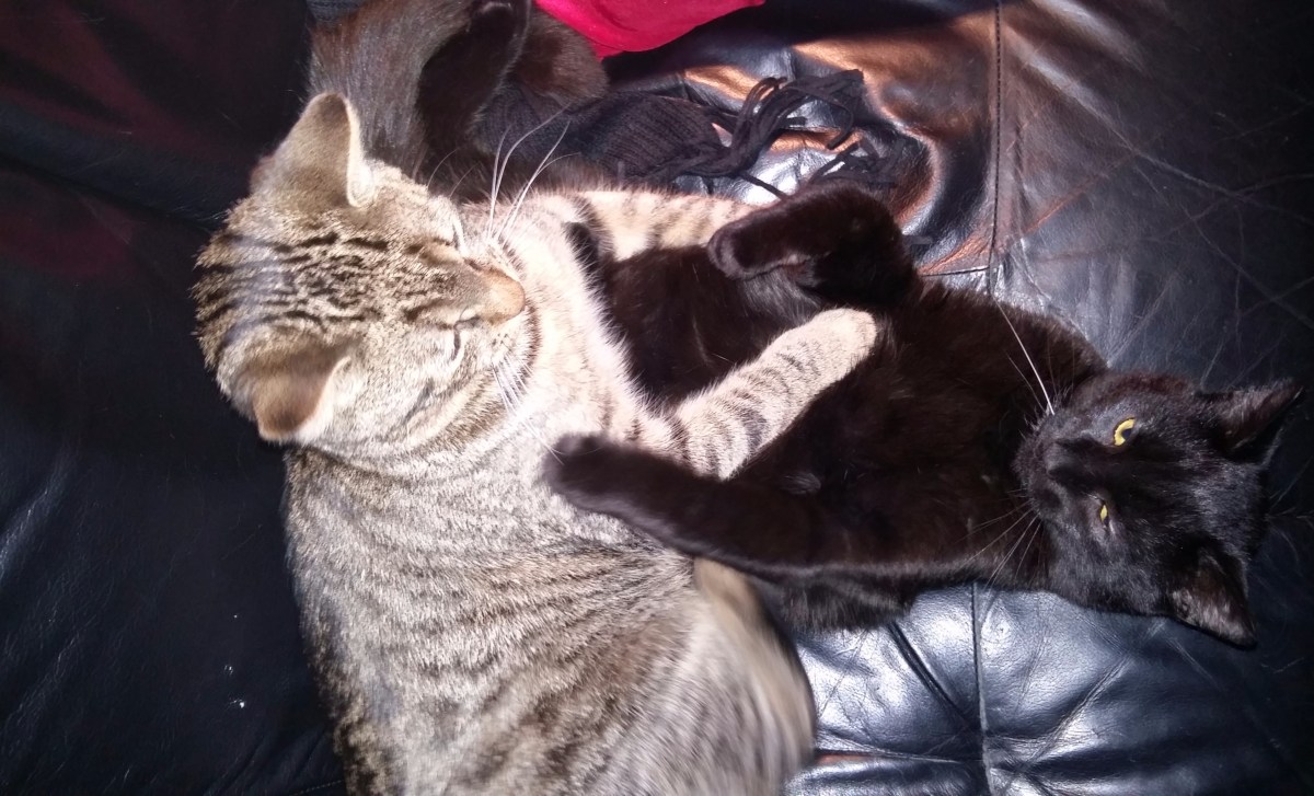 20160101_212154 - Edited