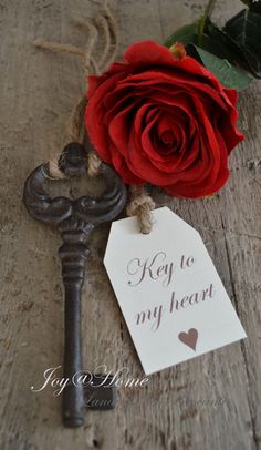 8632143a1e8d54298d951ff5597b47f7