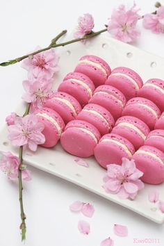 e60b8ed04c4197b3cfbcde47e6f1f201