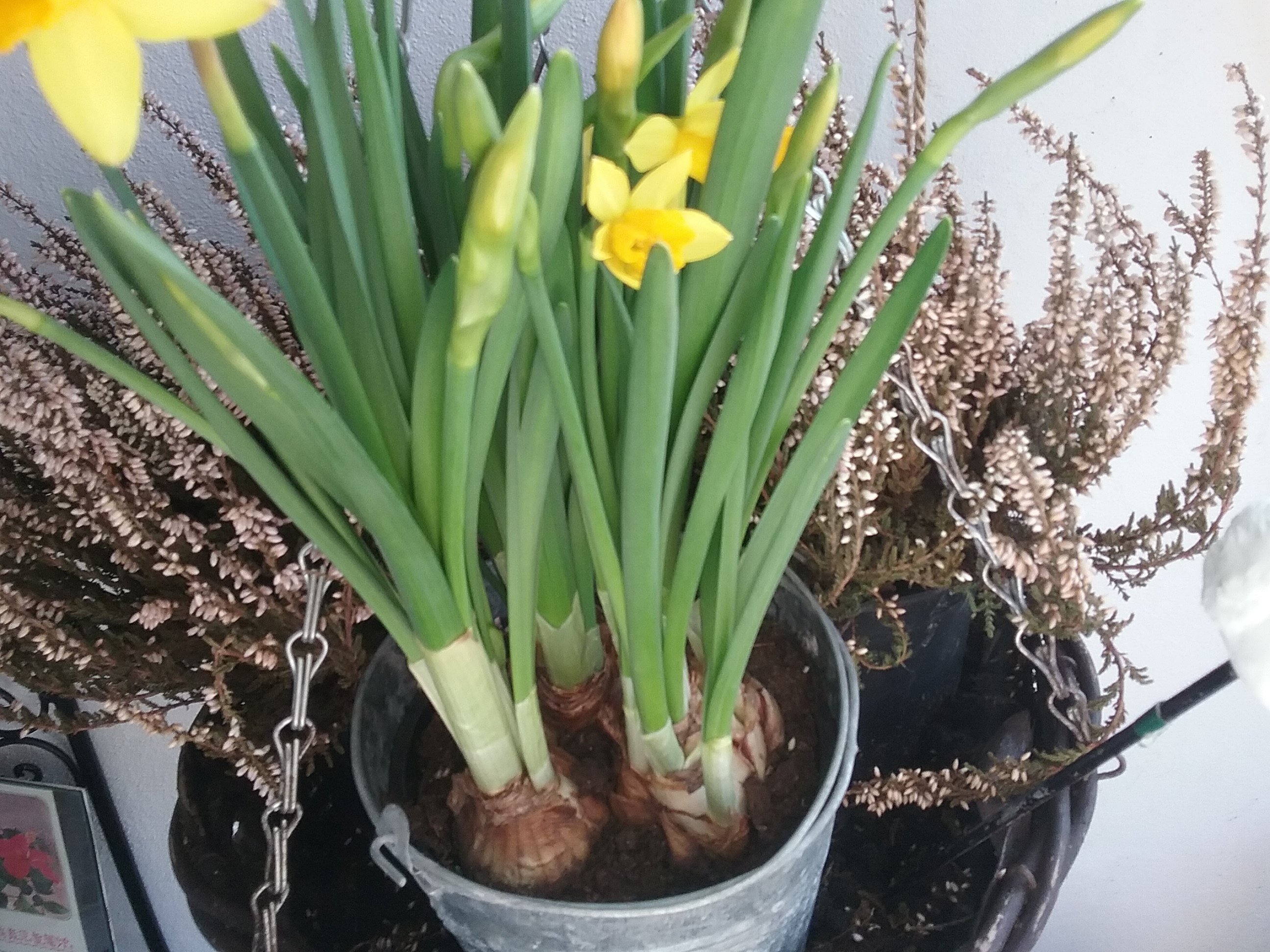 20160402_144928