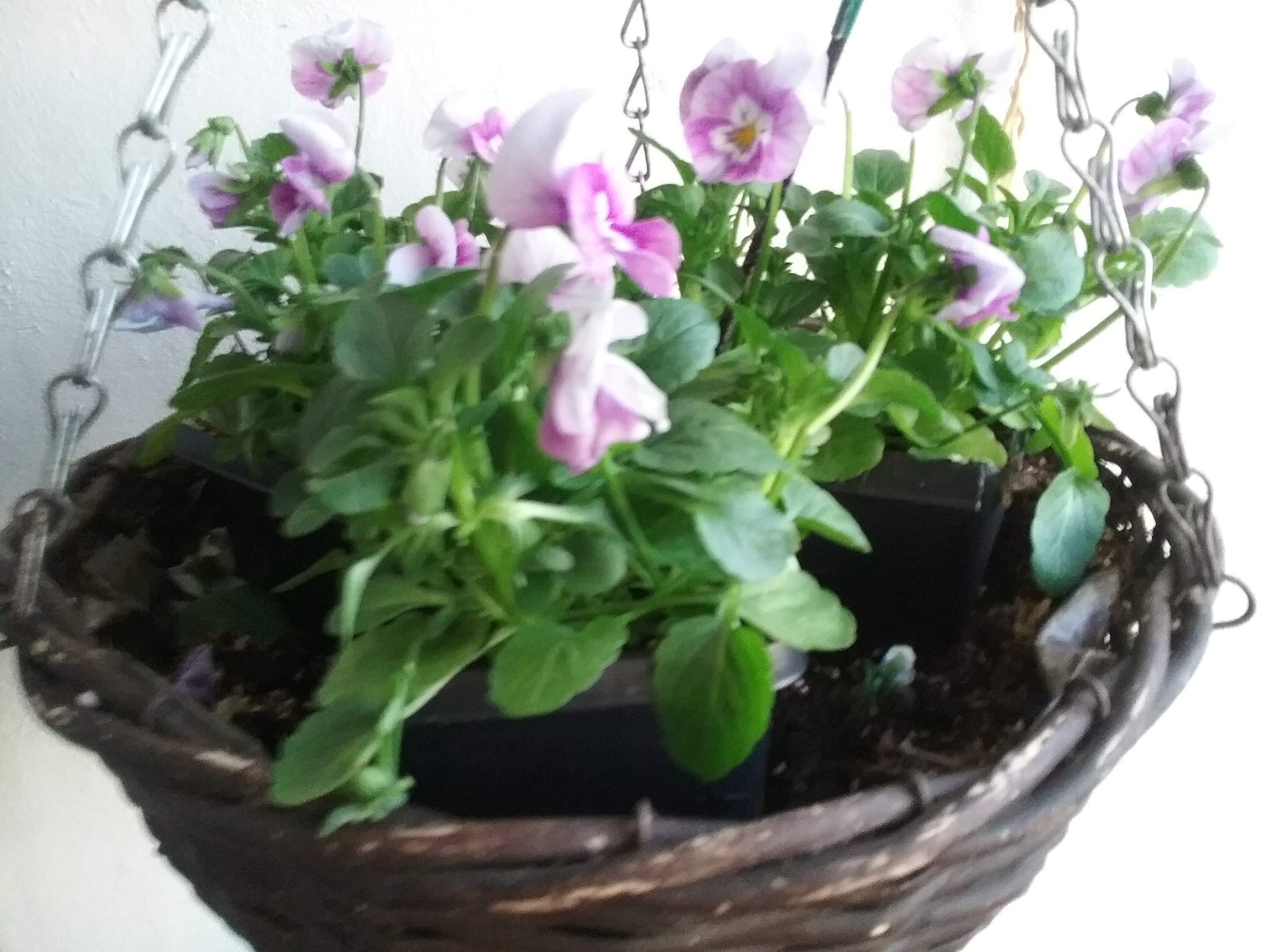 20160507_212040