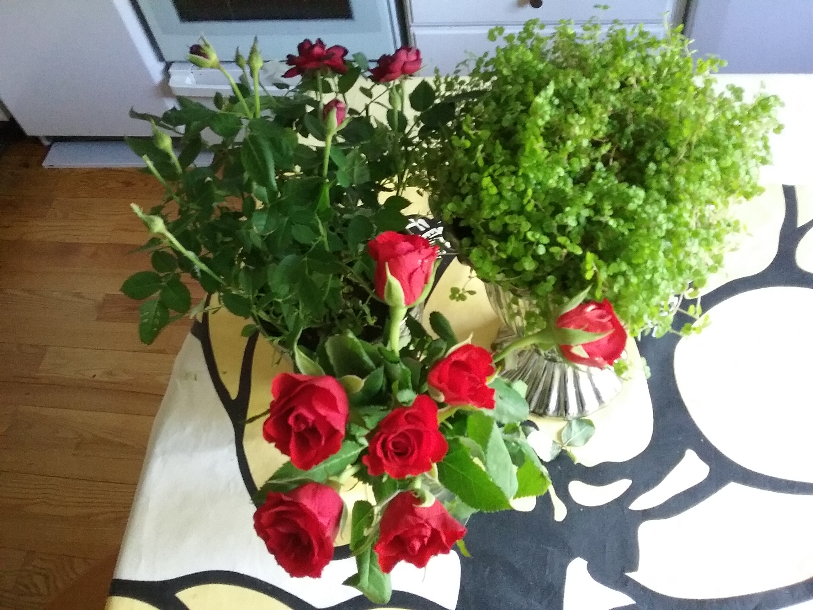 20160508_080357