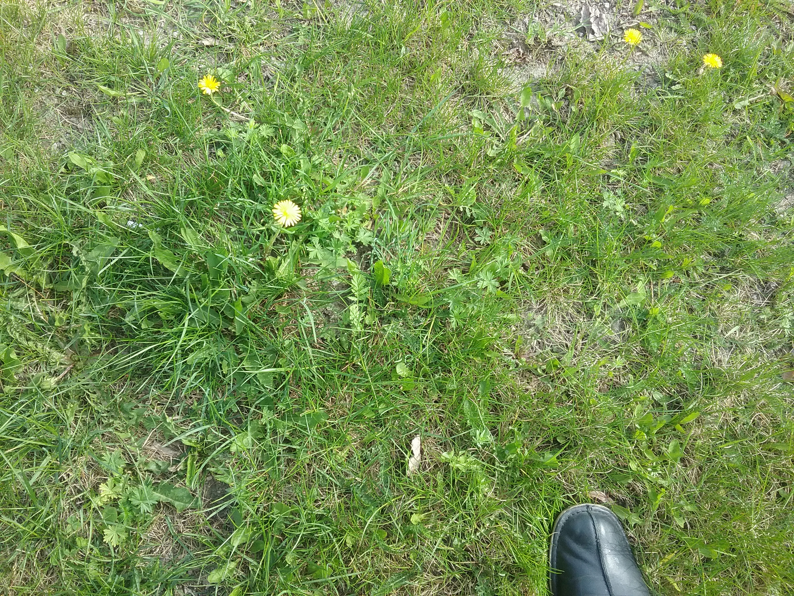 20160514_152604