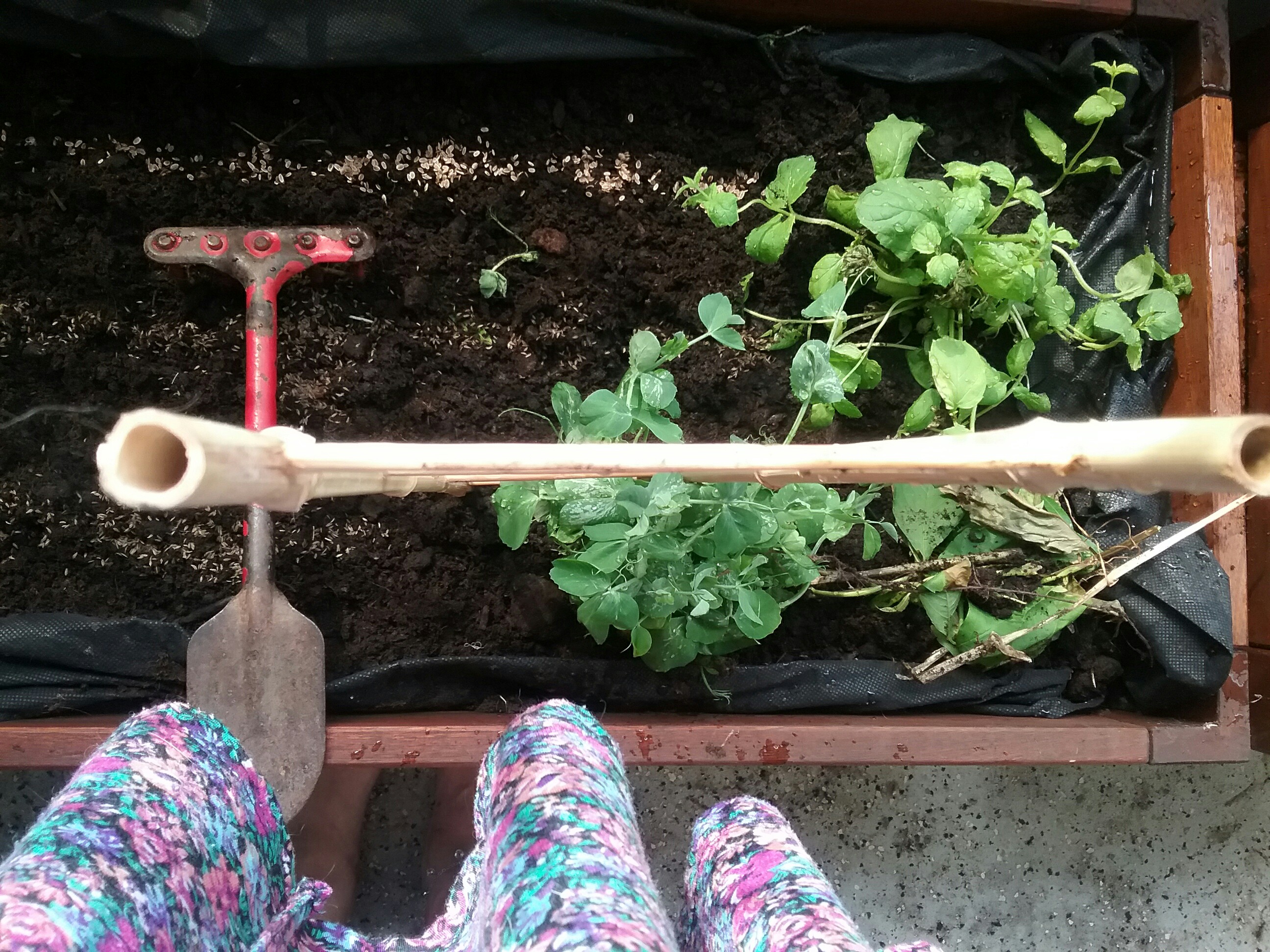 20160711_152251(0)~2