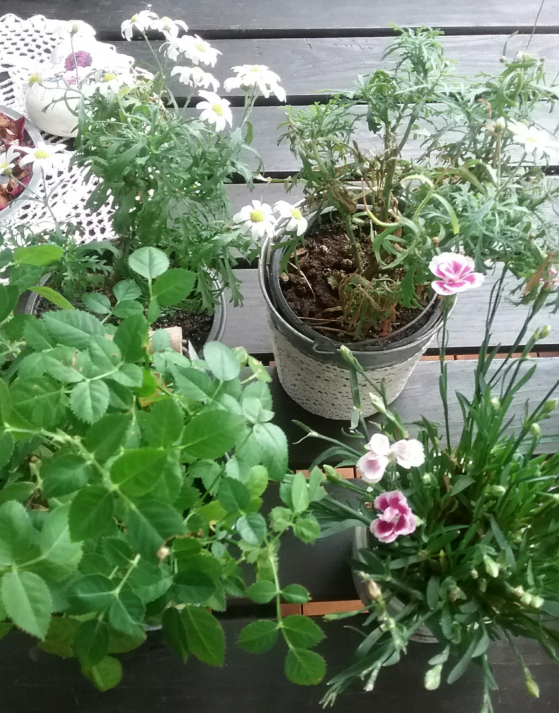 20160807_182715(0)~2