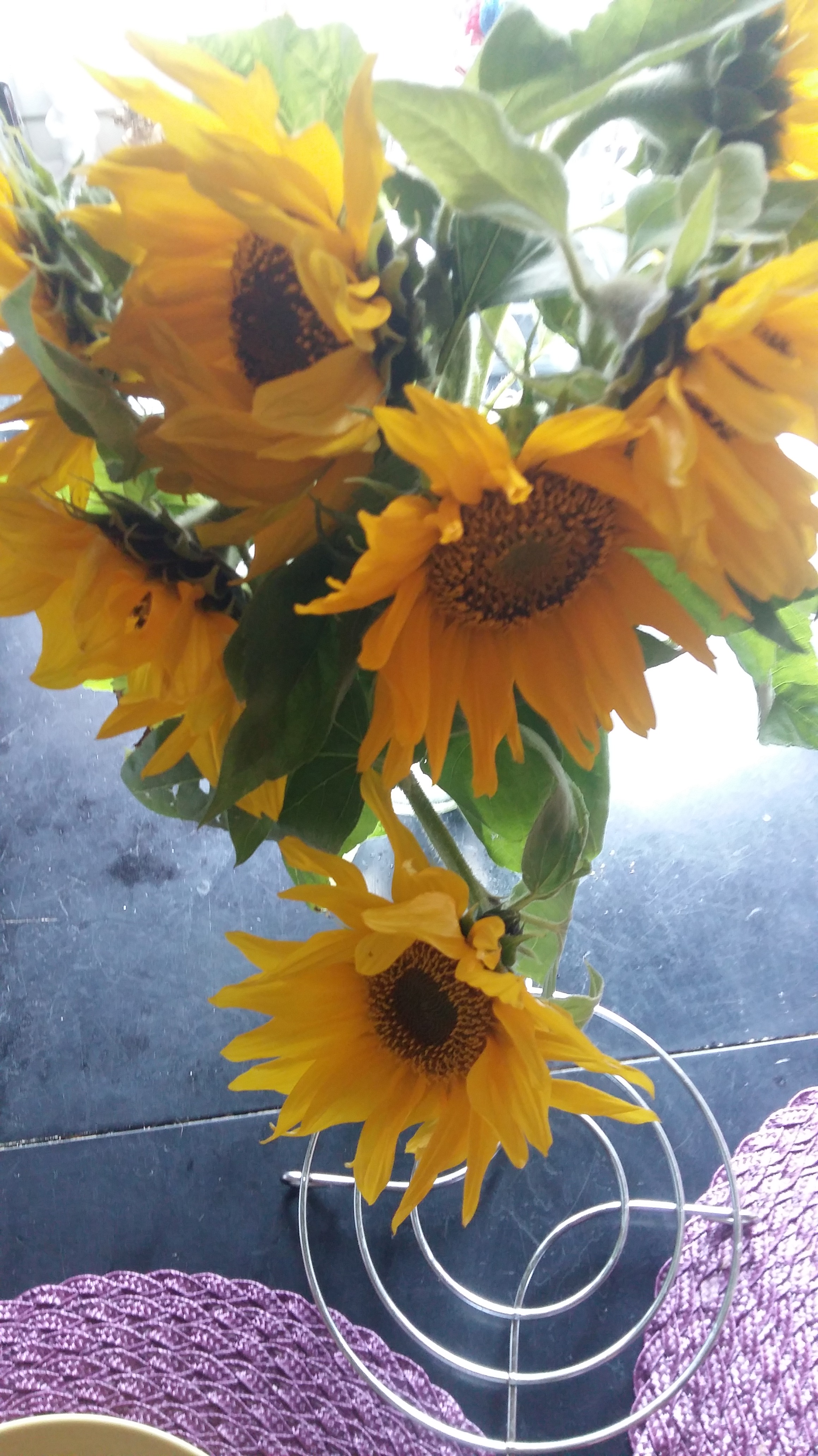 20160918_145221
