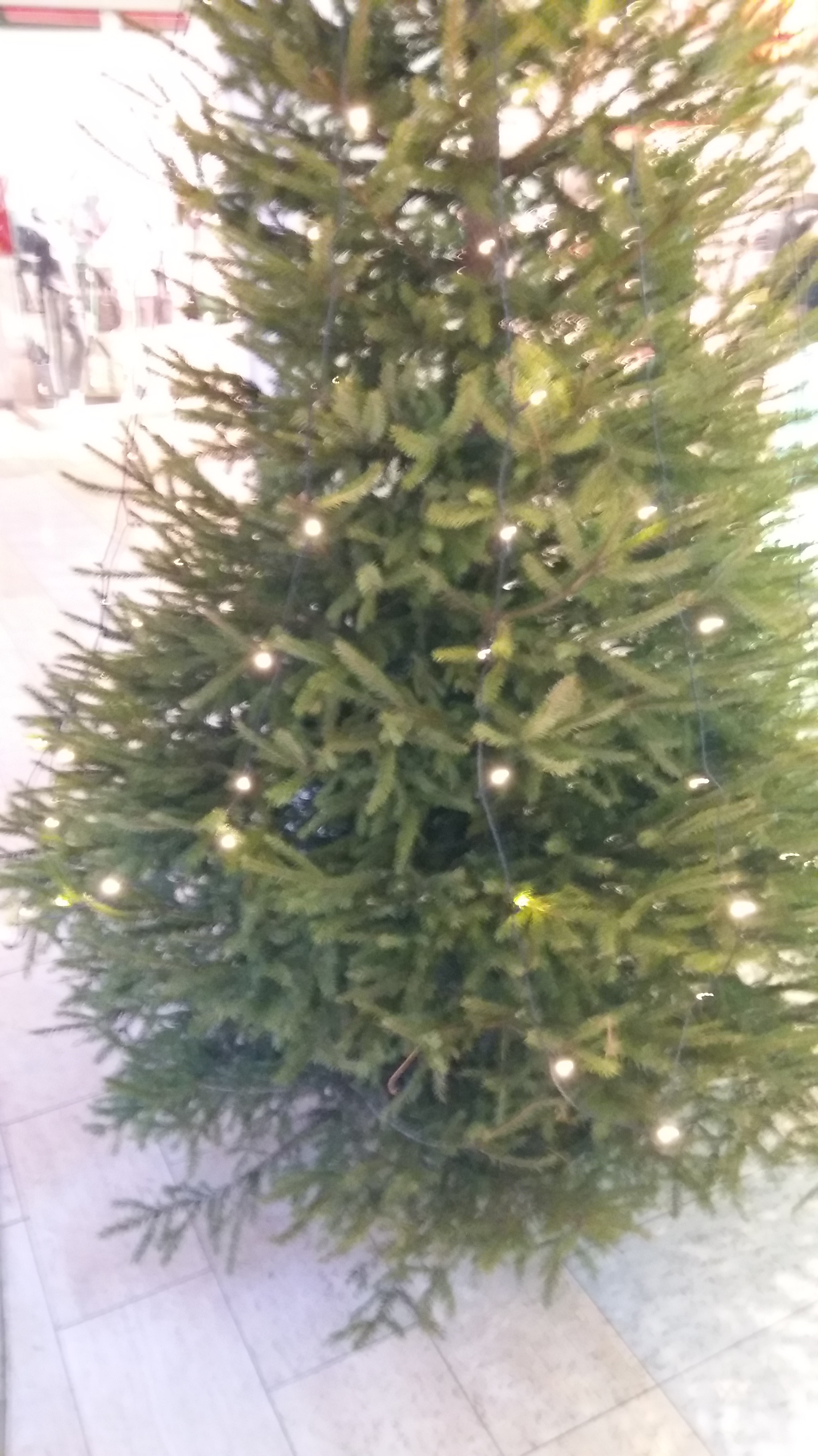 20161210_150956