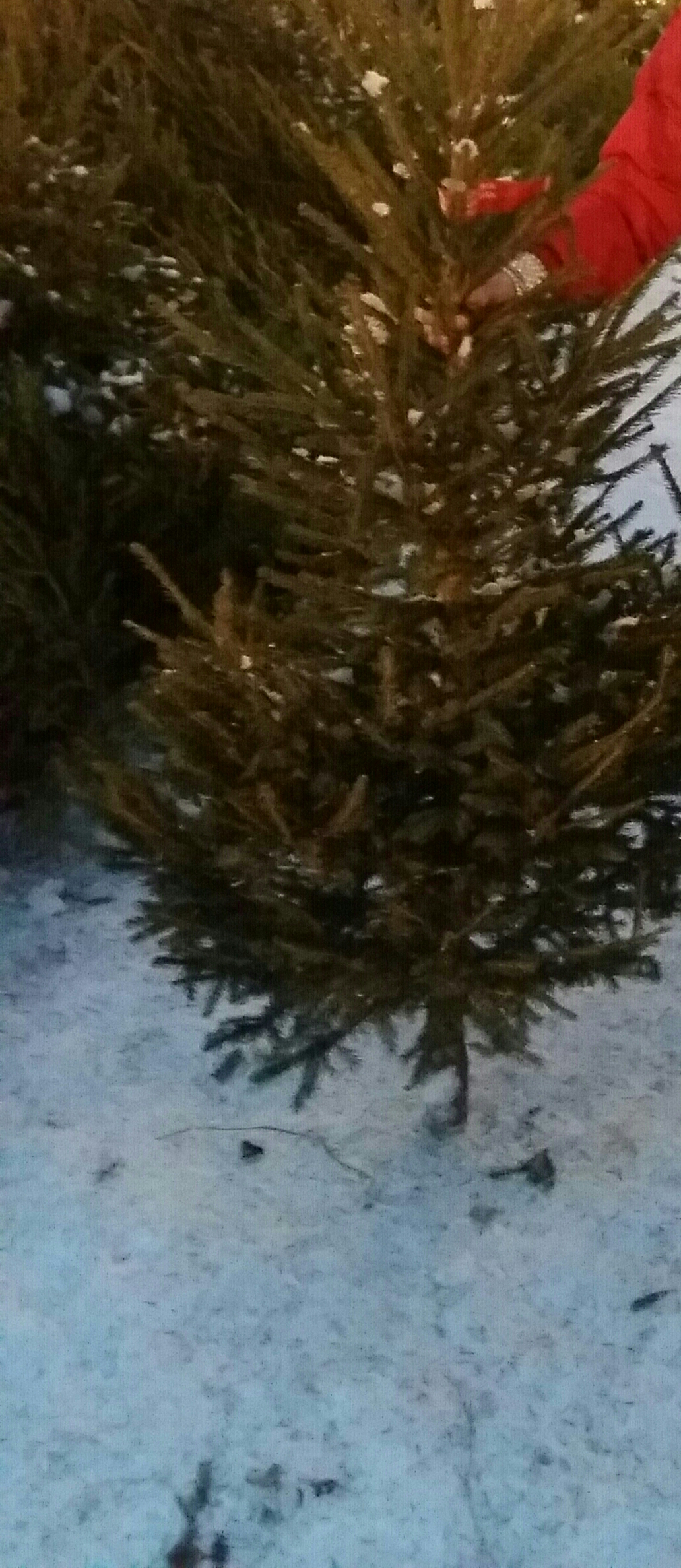 20161217_153832-1-1-1