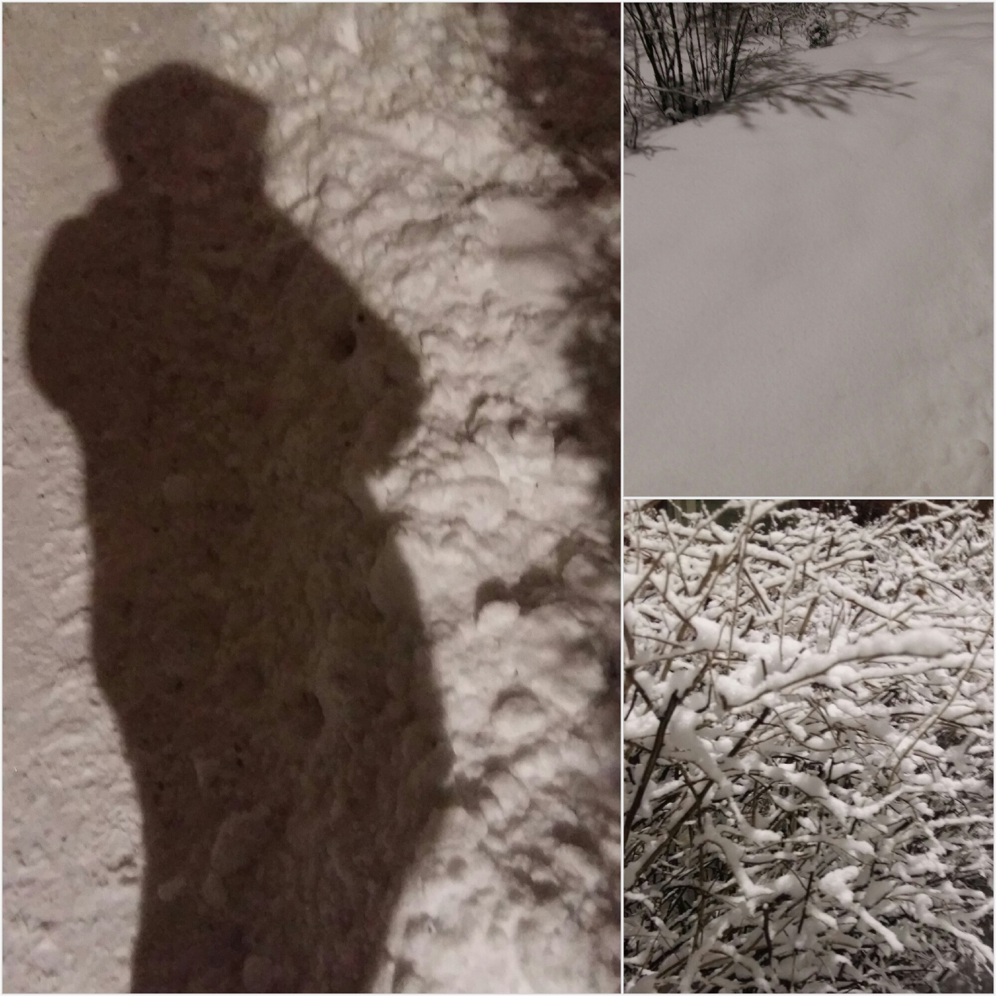 2017-01-24-18-35-45