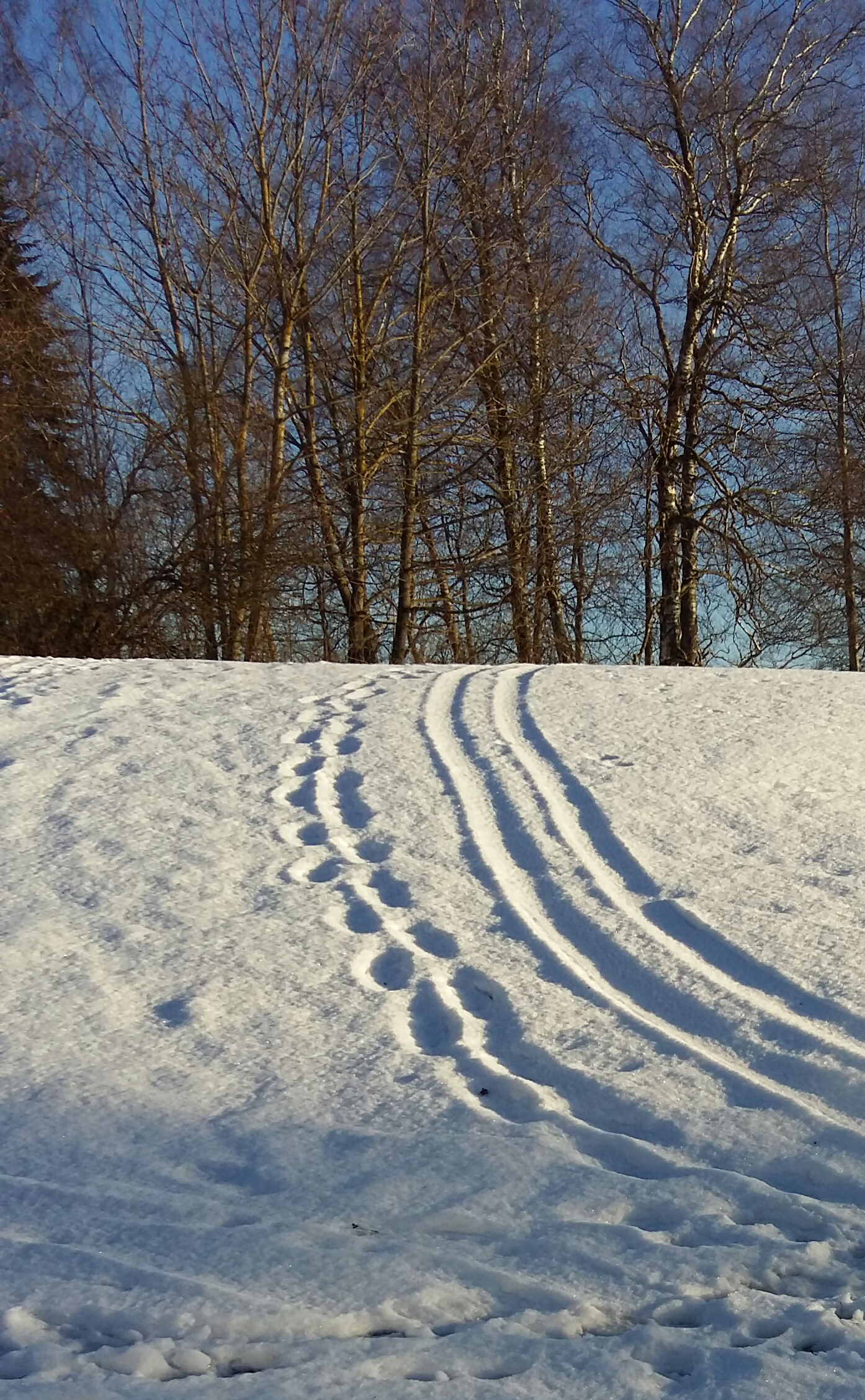 20170120_120907-1