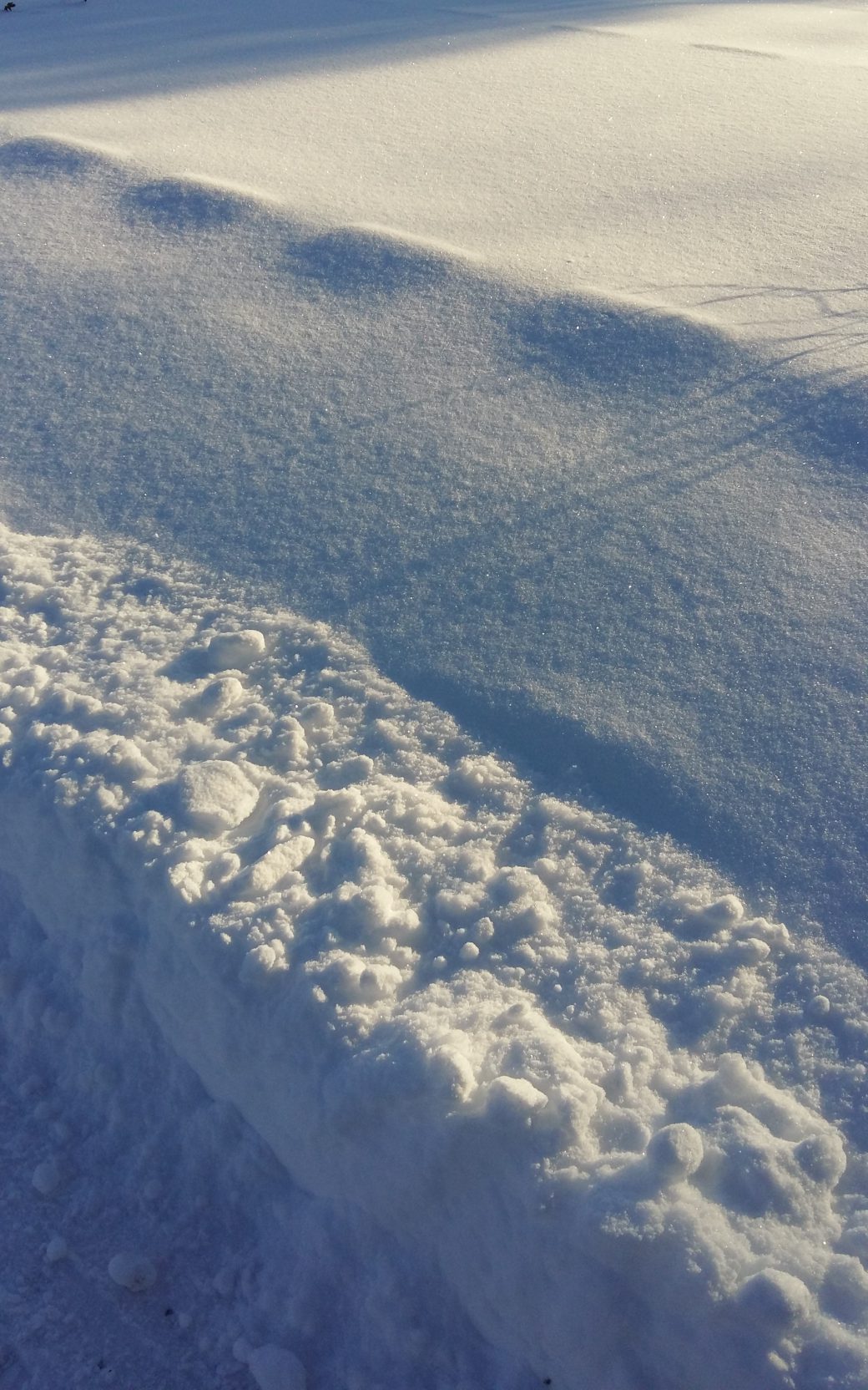 cropped-20161111_104835.jpg