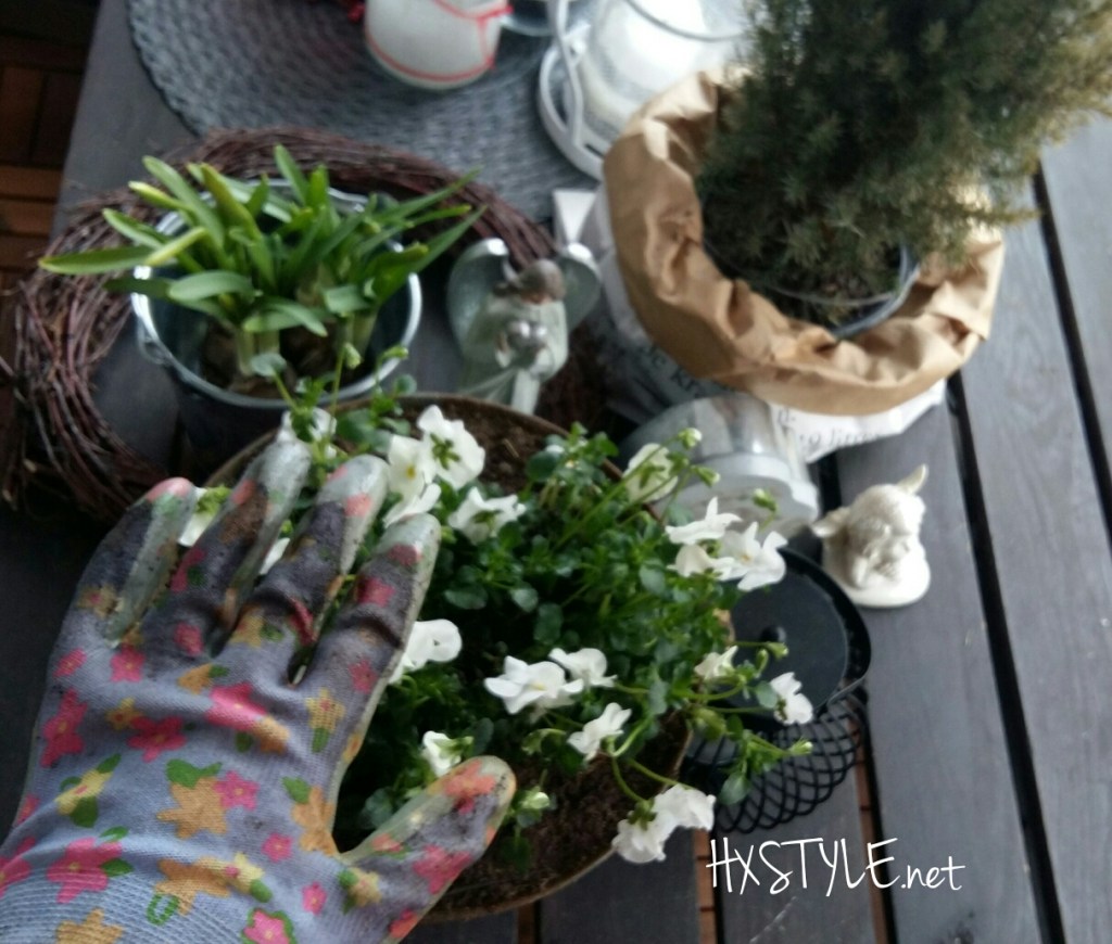 KOTI&SISUSTUS. PUUTARHA&PARVEKE. ELÄMÄNTAPA, Tyyli KOTI&SISUSTUS; Sisä- ja ULOKOTILAT…2/2 PUUTARHA, PARVEKE, LUONTO&Kevään eteneminen…KEVÄT KUKAT 4.4.2017 Suosikki HXSTYLE.net&nbsp;HEINIS