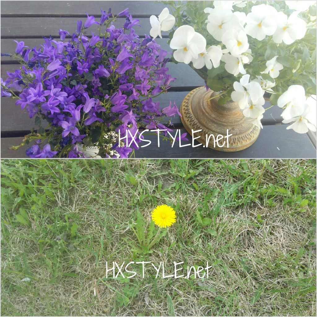 KOTI&SISUSTUS. SISÄTILAT ja Ulkotilat. PUUTARHA, PARVEKE&Tyyli. KEVÄT KUKAT, LUONTO, LEMMIKIT. Ideat&Vinkit…Suosikit&Elämäntapa 31.5. 2017 HXSTYLE.net&nbsp;HEINIS