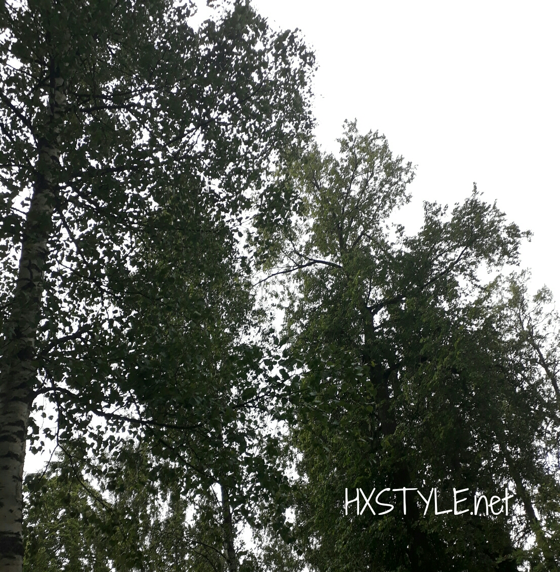 1498572632459