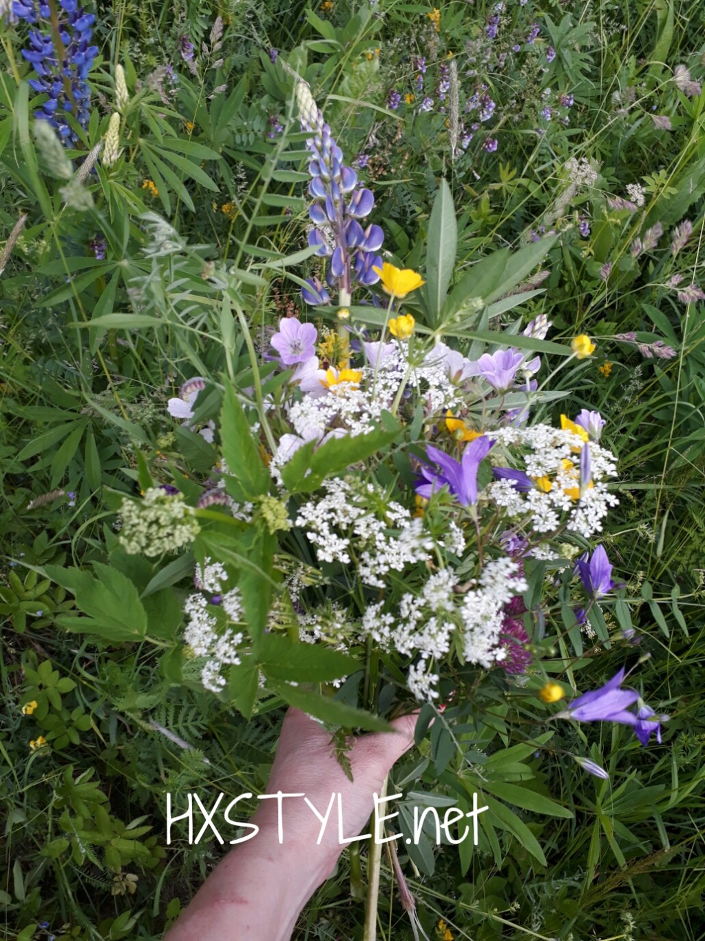 LUONTO&ELÄIMET. Luonnon Puut, Nurmikko, Kukat&Kasvit. SUOMI/KOTIMAA. KEVÄT&KESÄ. ULKOILU&Liikunta, Kaupungilla, Puistossa, Rannalla, Valokuvaus, Valokuvat… Koti&Sisustus. ELÄMÄNTyyli, Suosikki 28.6.2017 Elämäntapablogi HXSTYLE.net&nbsp;HEINIS