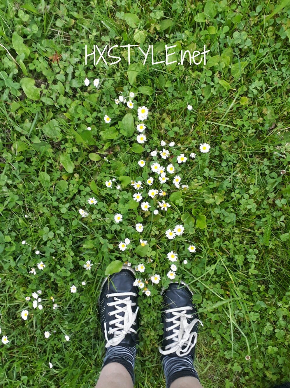 1498628089531