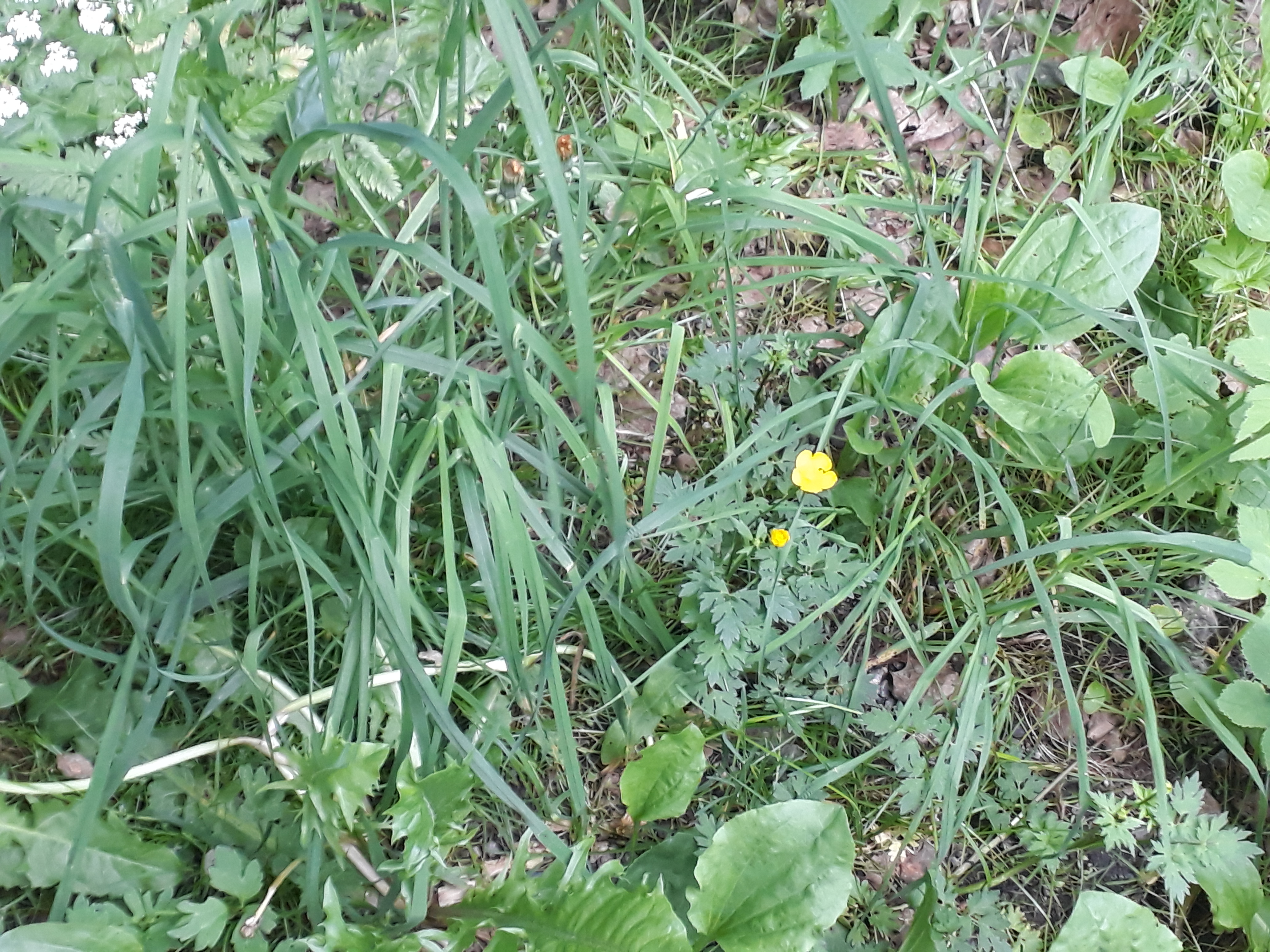 20170626_182702