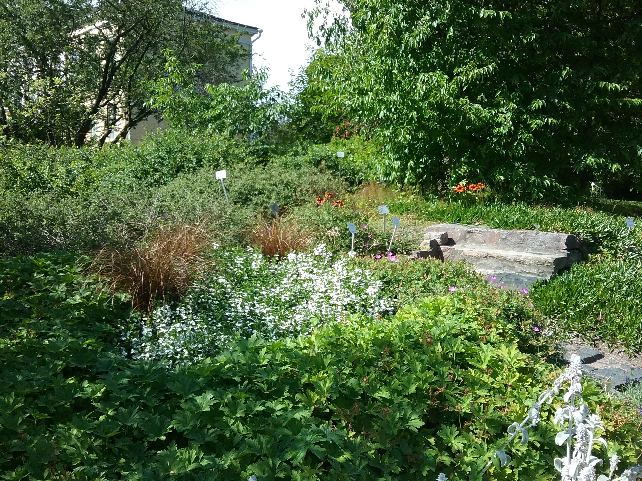 20170805_144619