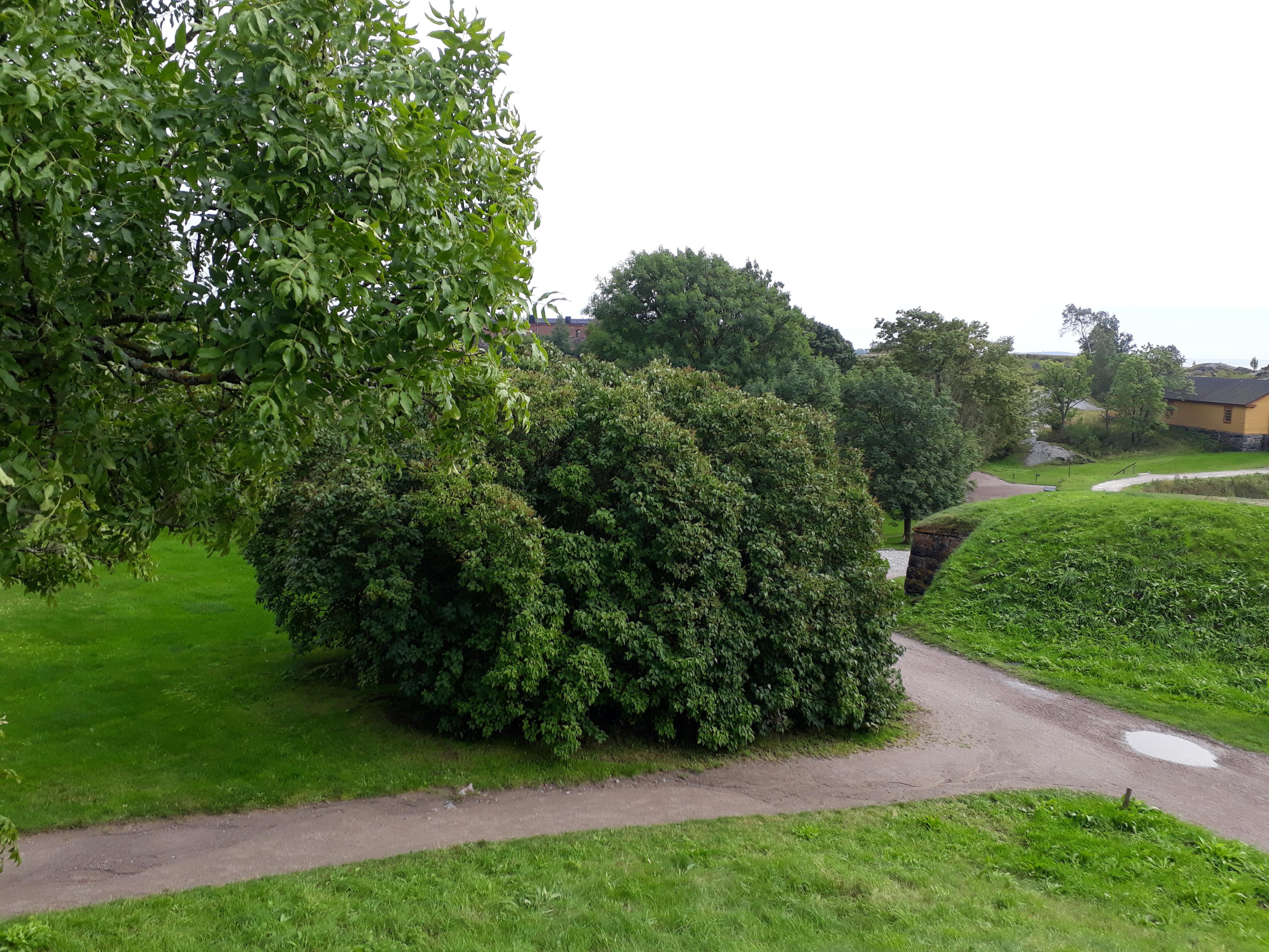 20170909_154344