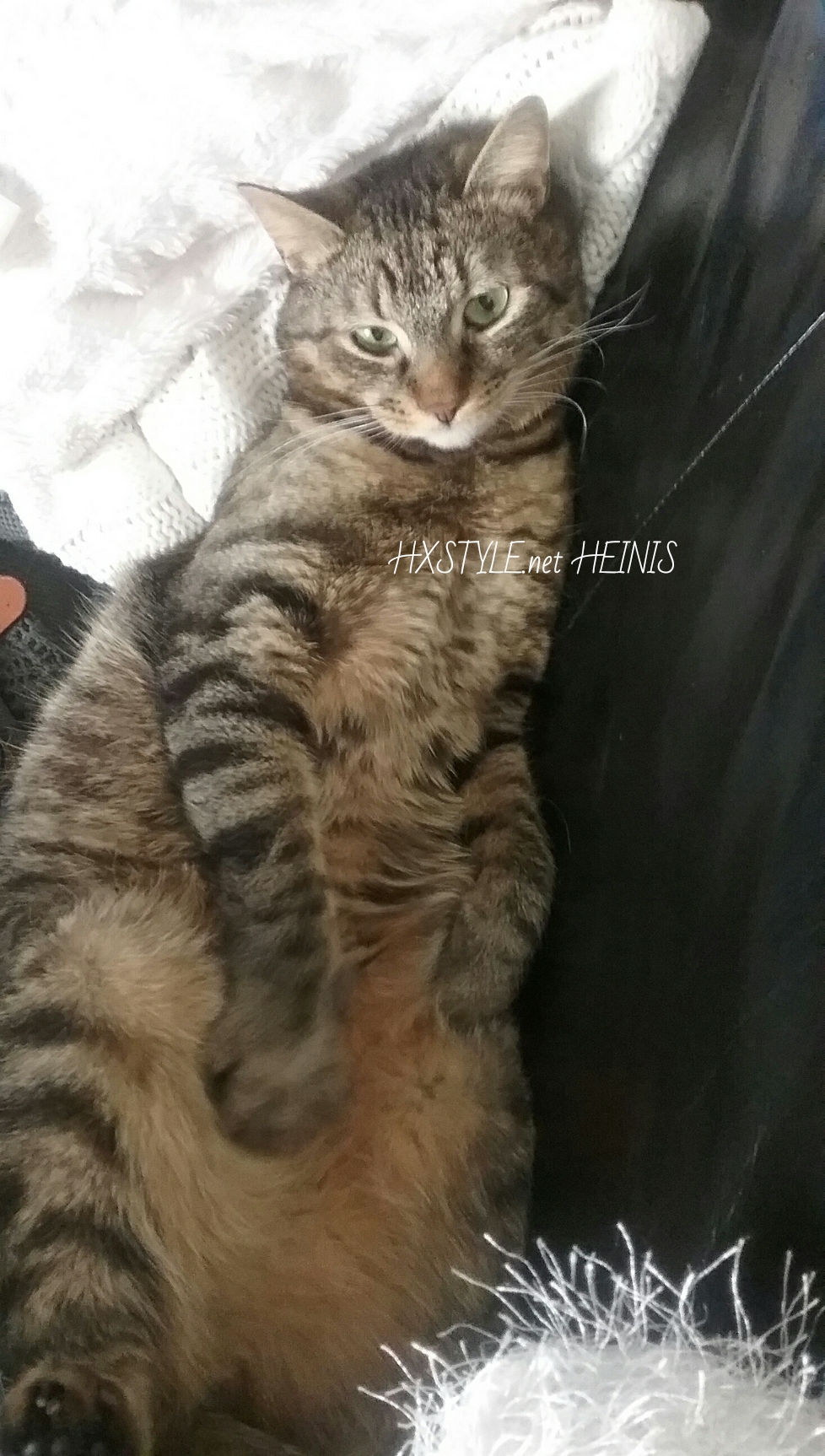 1518023707269