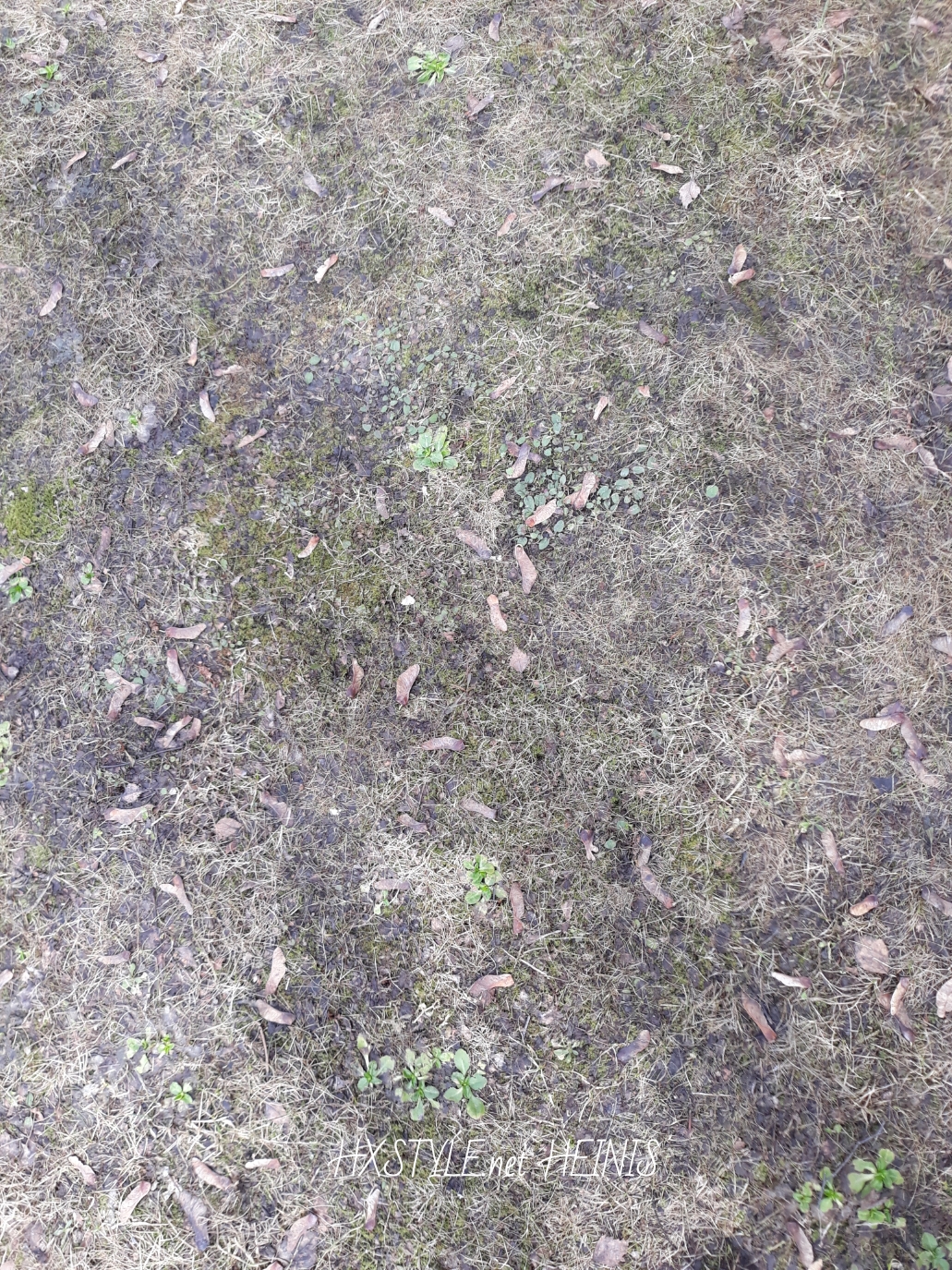 1524324695111