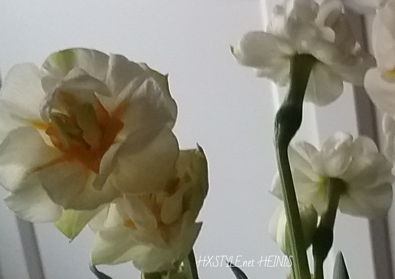 IMG_20180417_162029_418