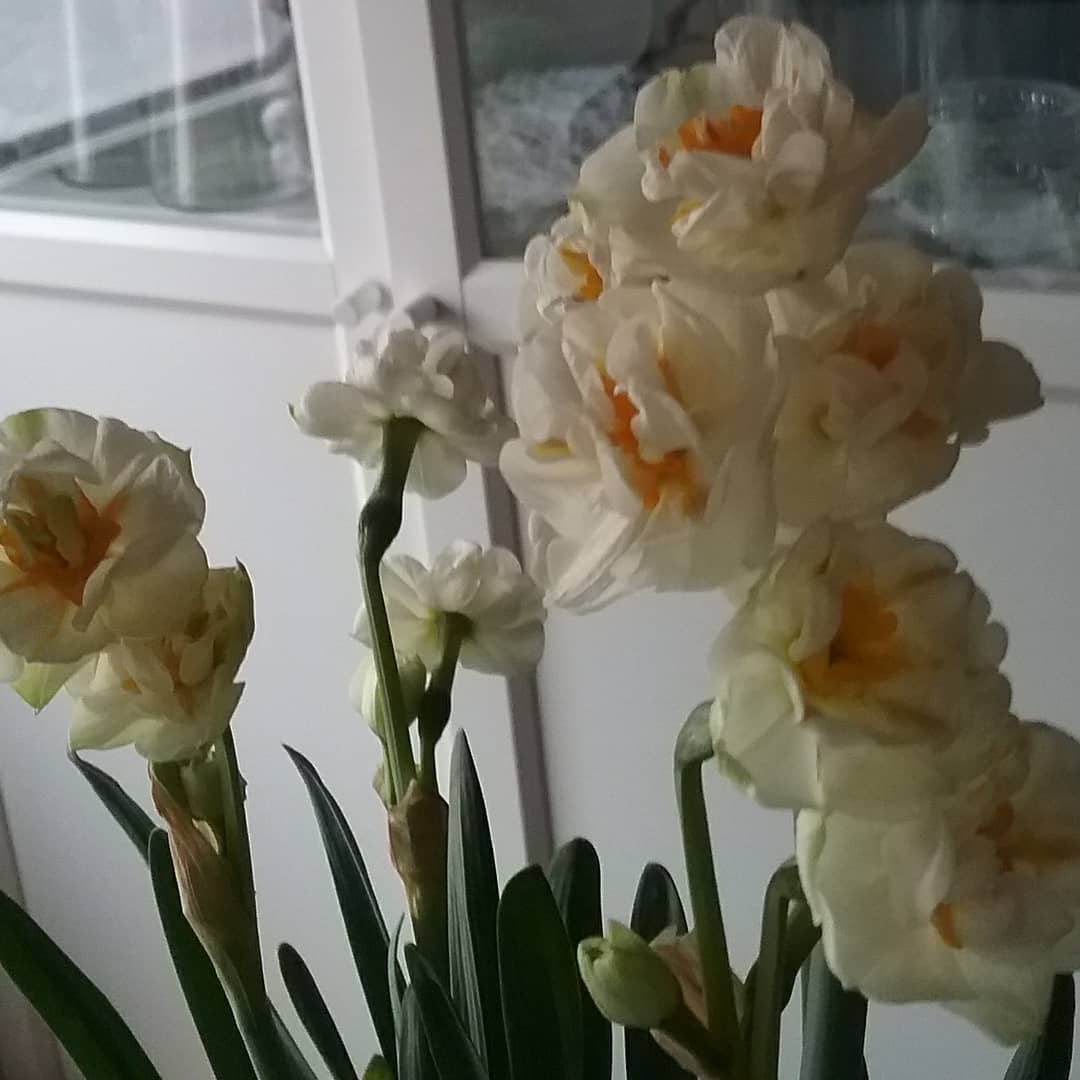 IMG_20180417_163758_716