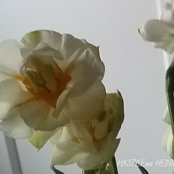 IMG_20180417_163758_717