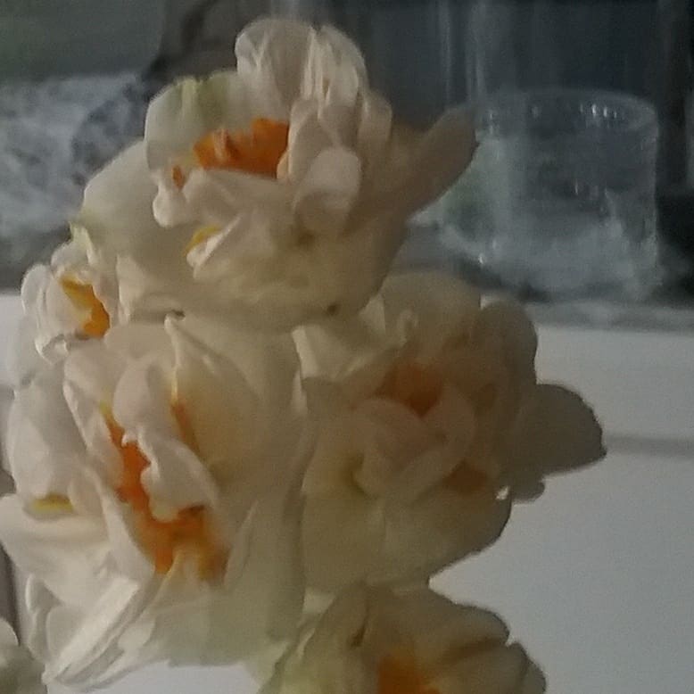 IMG_20180417_163758_726