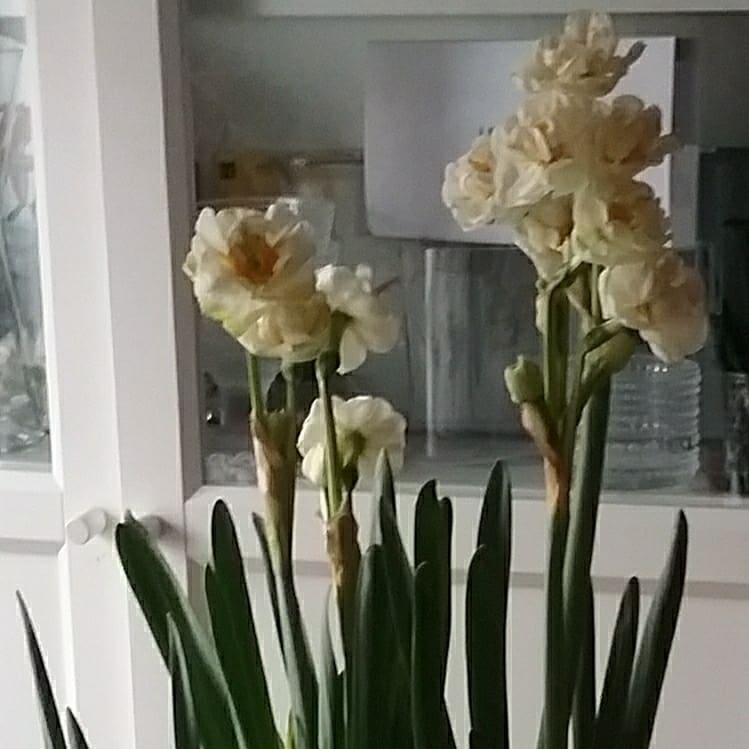 IMG_20180417_163758_727