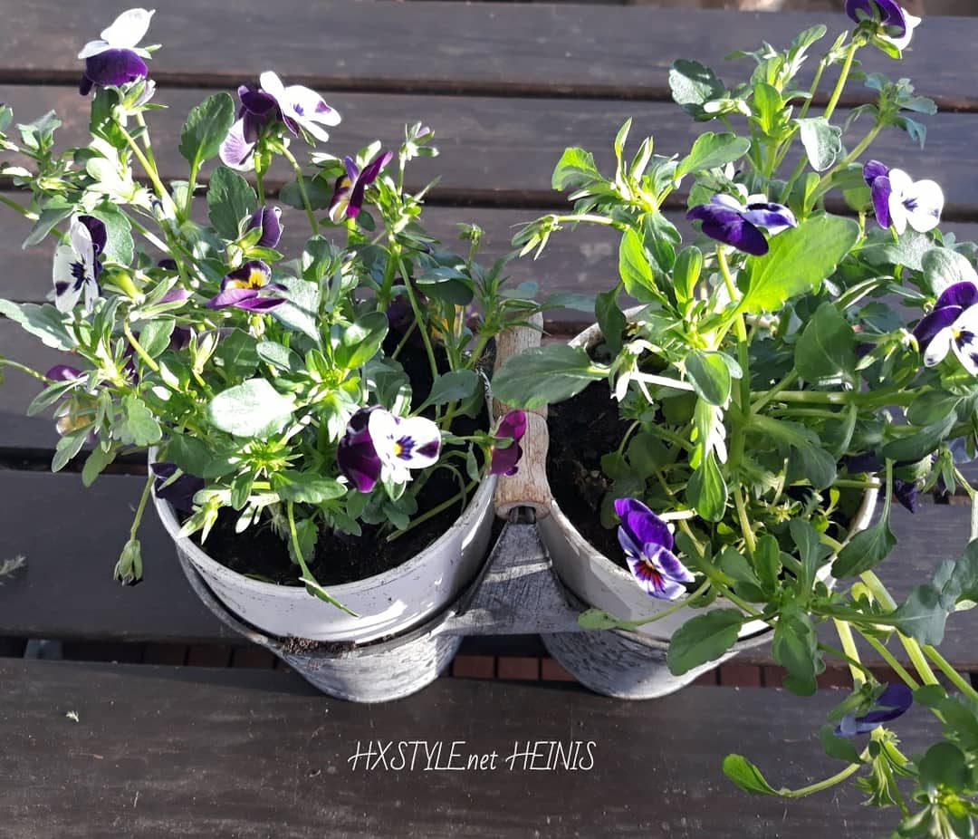 IMG_20180424_102433_767