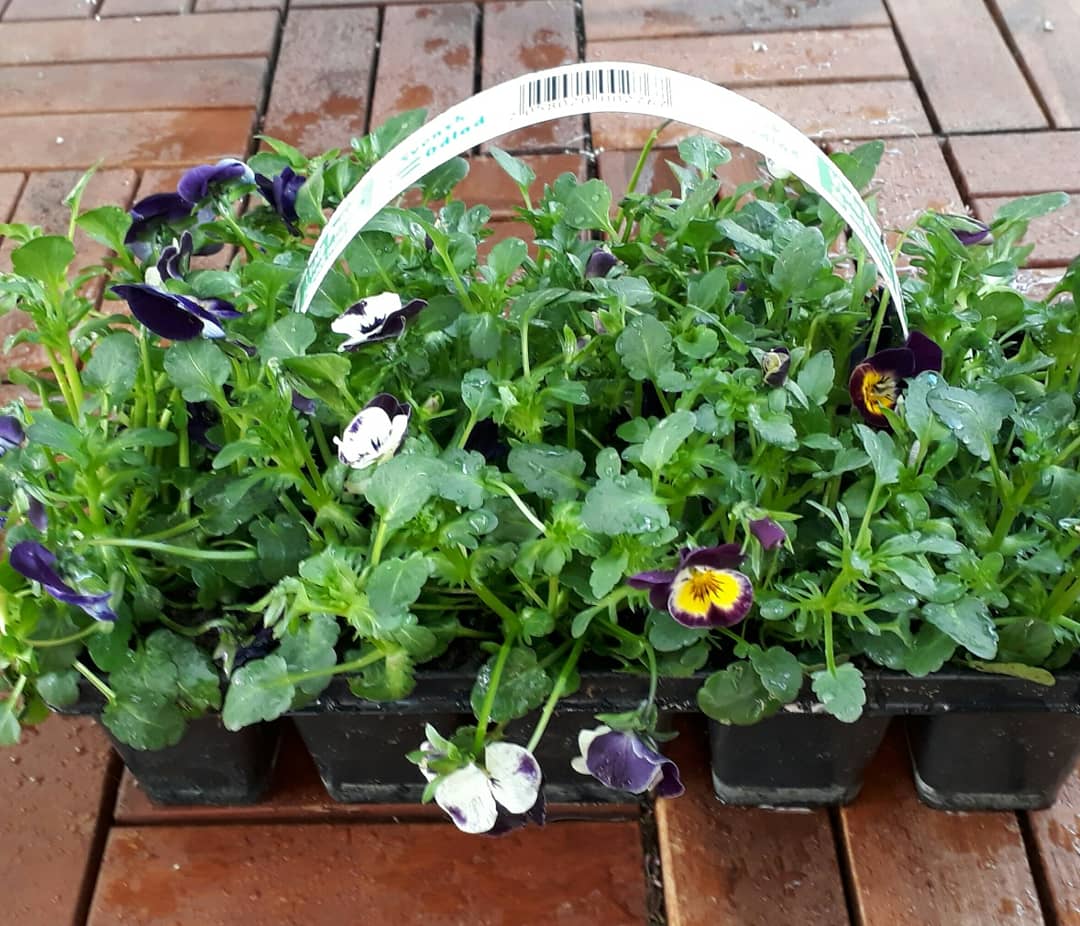 IMG_20180424_102433_769