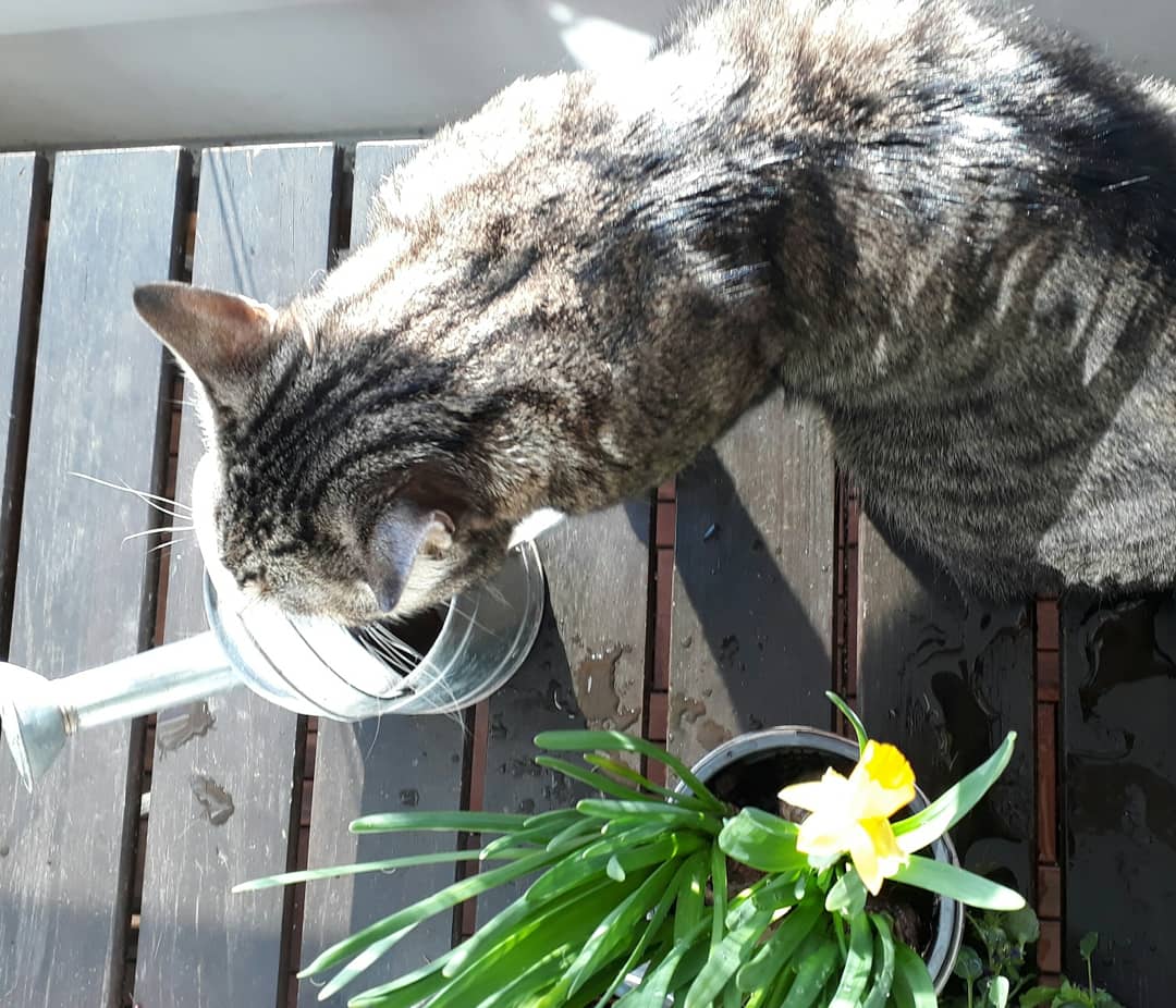 IMG_20180424_102433_777